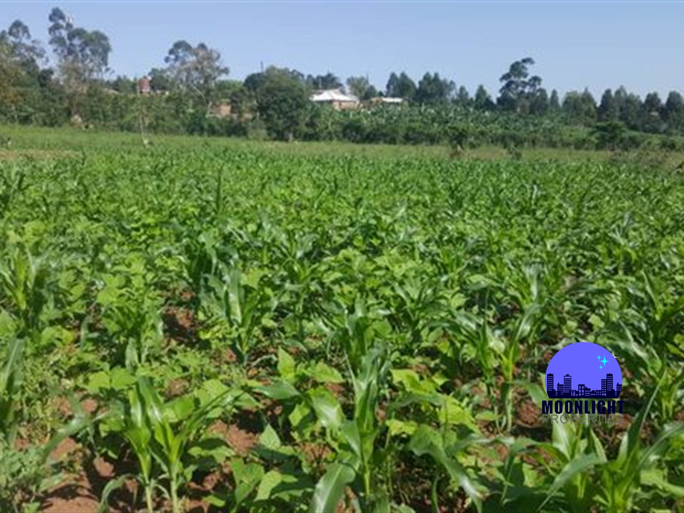 Residential Land for sale in Seeta Mukono