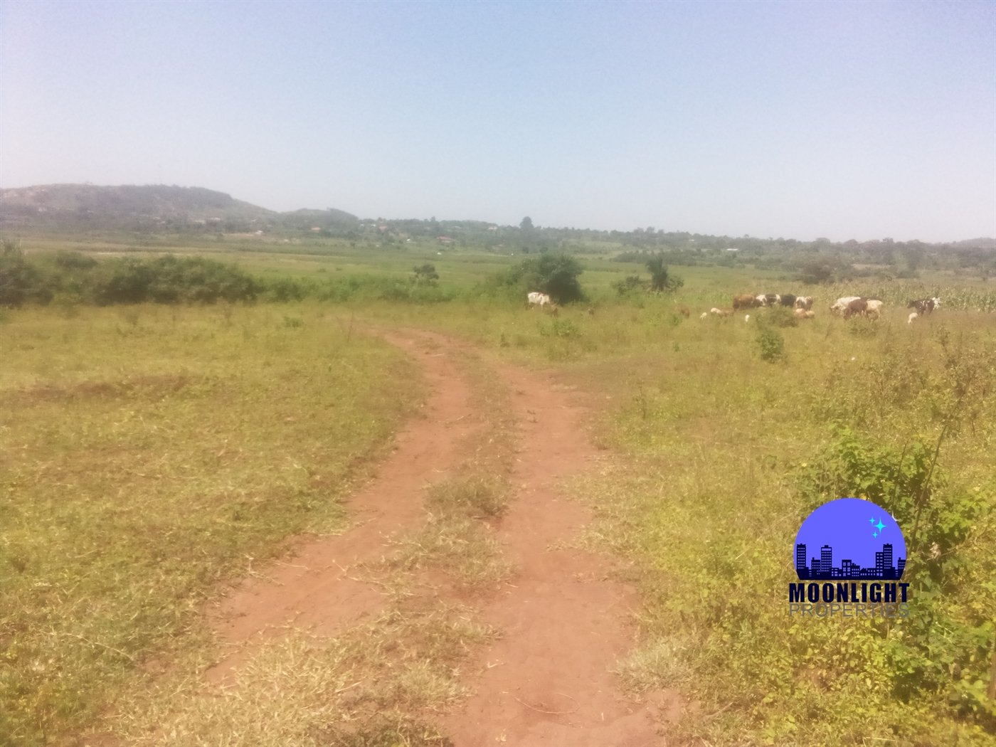 Residential Land for sale in Kiwumu Mukono