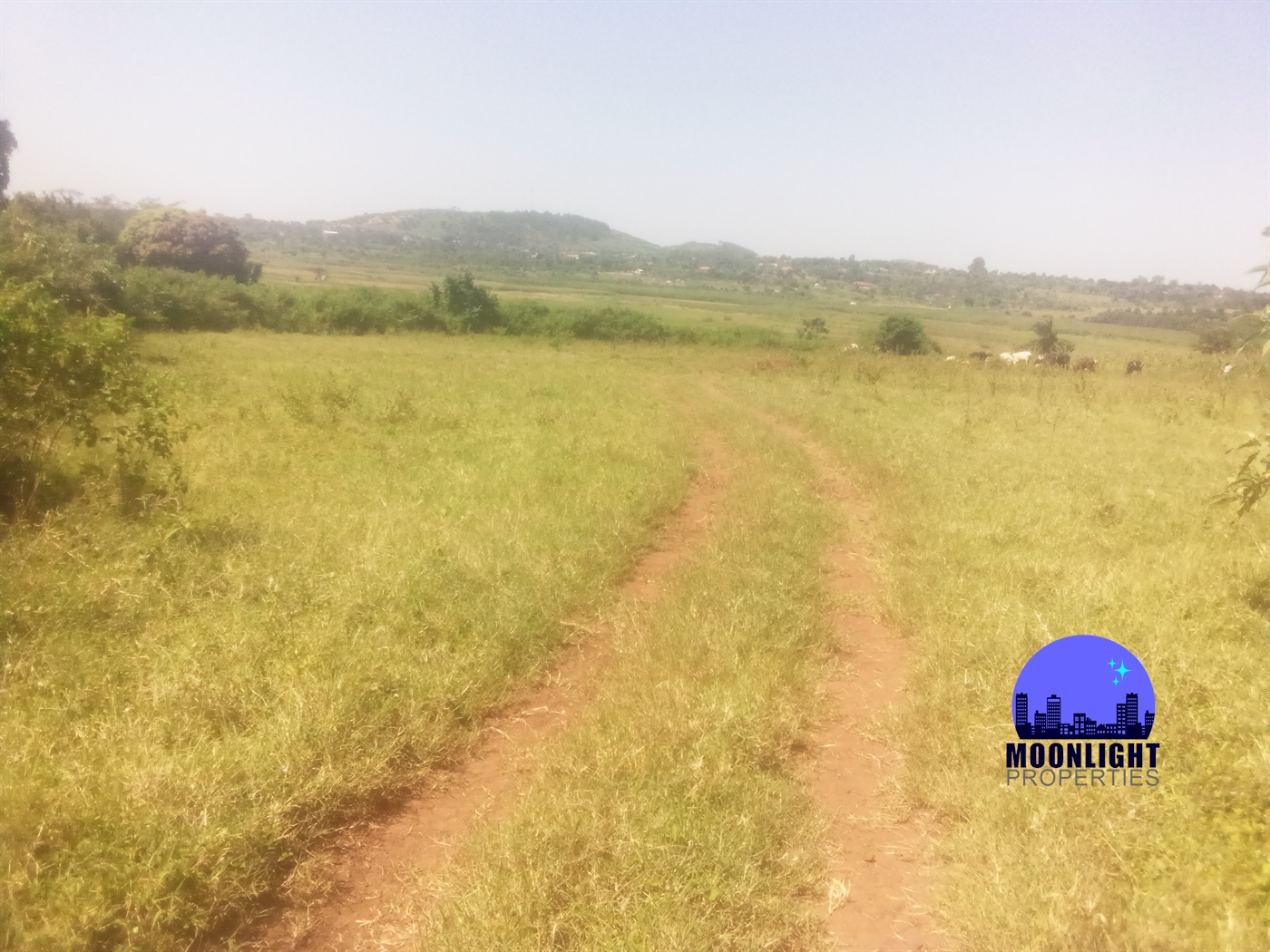 Residential Land for sale in Kiwumu Mukono