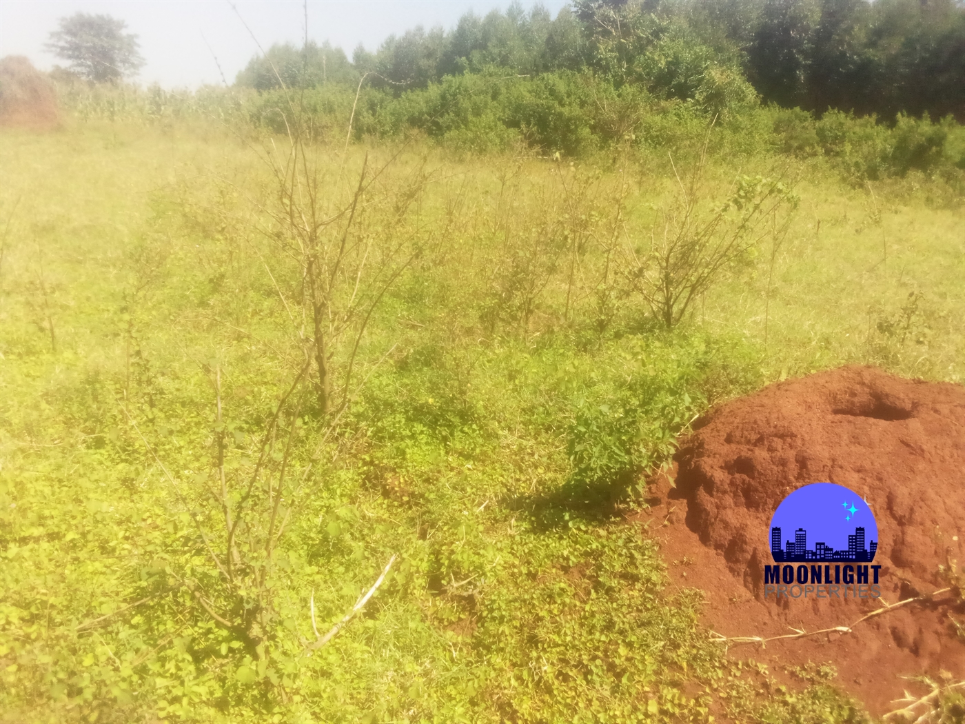 Residential Land for sale in Kiwumu Mukono