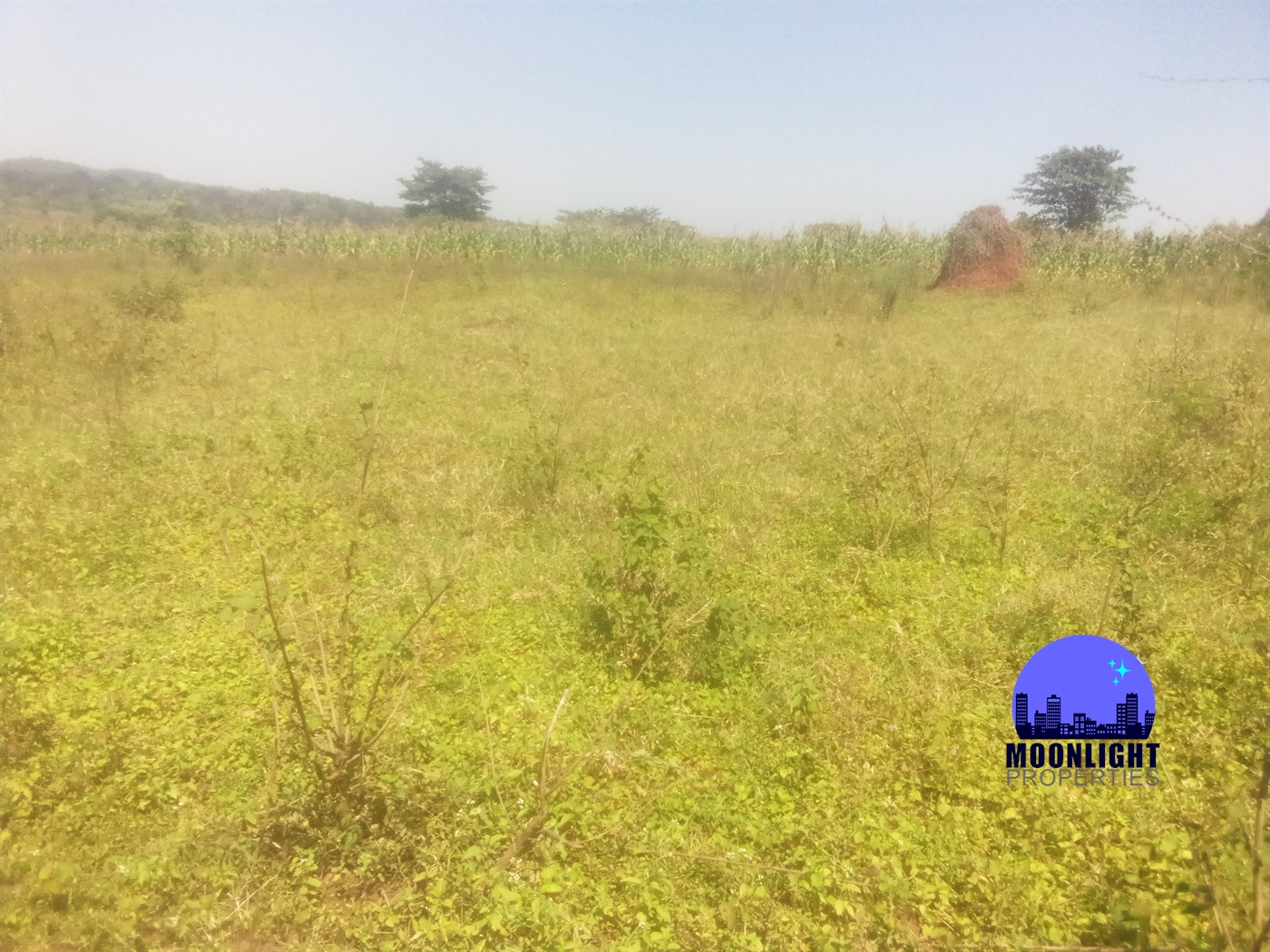 Residential Land for sale in Kiwumu Mukono