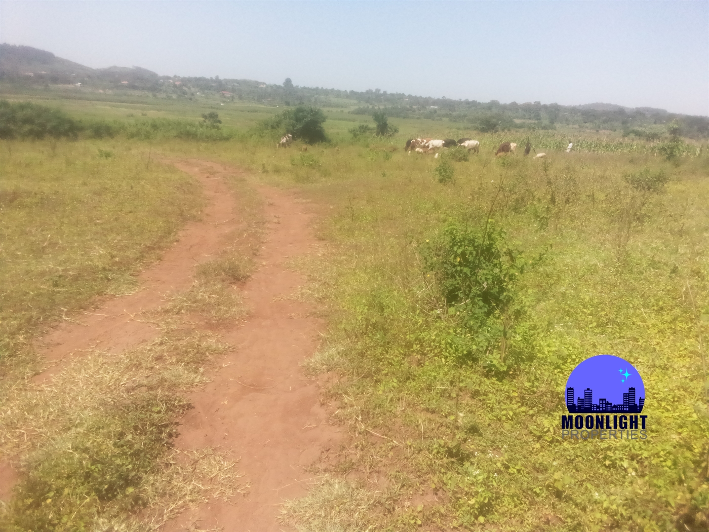 Residential Land for sale in Kiwumu Mukono