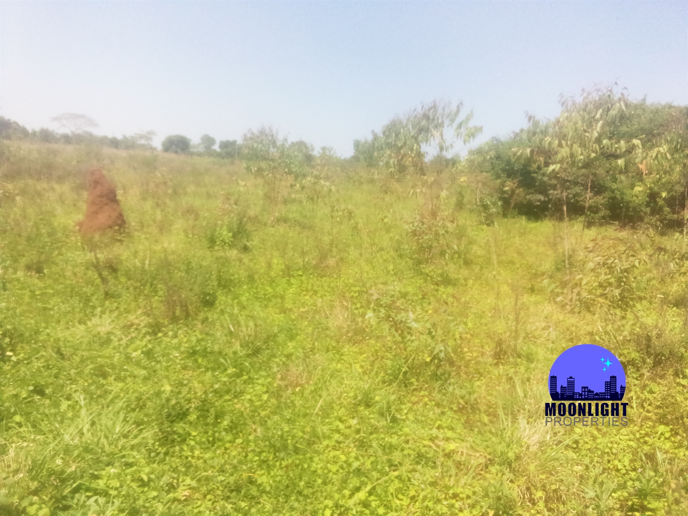 Residential Land for sale in Kiwumu Mukono