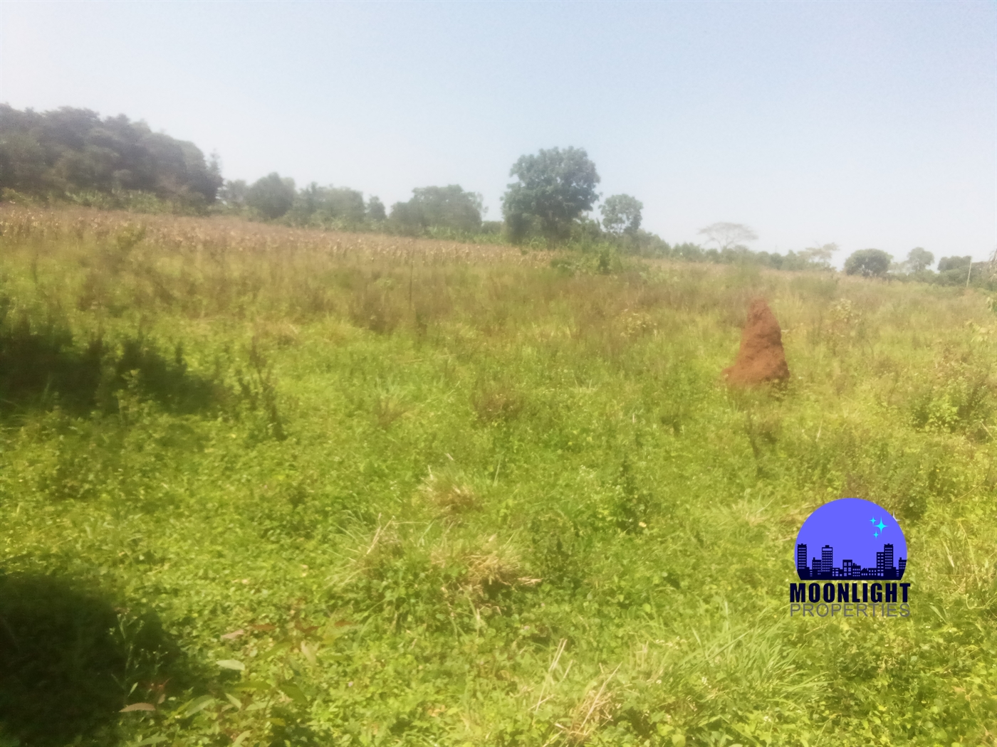 Residential Land for sale in Kiwumu Mukono