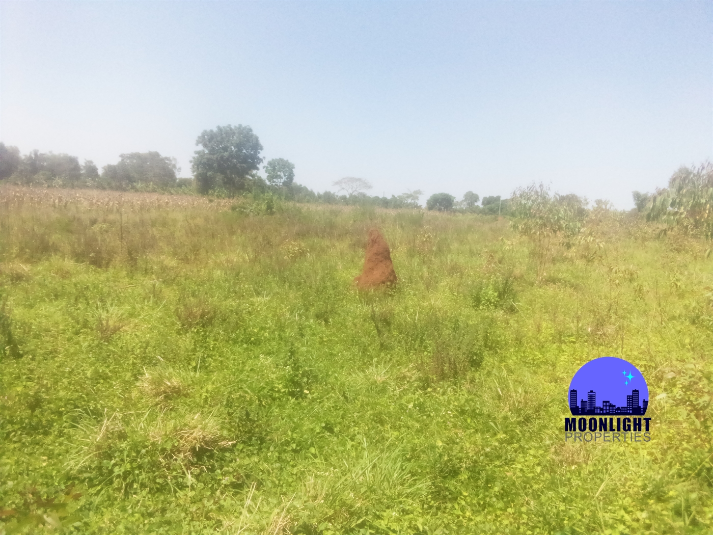 Residential Land for sale in Kiwumu Mukono