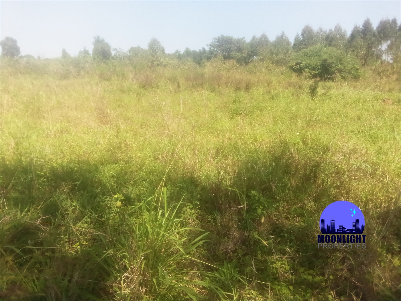 Residential Land for sale in Kiwumu Mukono