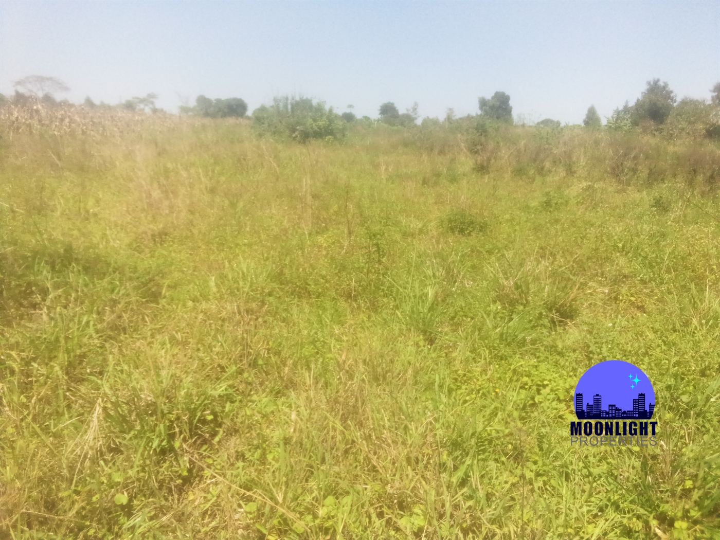 Residential Land for sale in Kiwumu Mukono