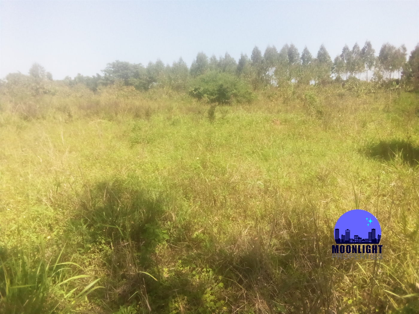 Residential Land for sale in Kiwumu Mukono