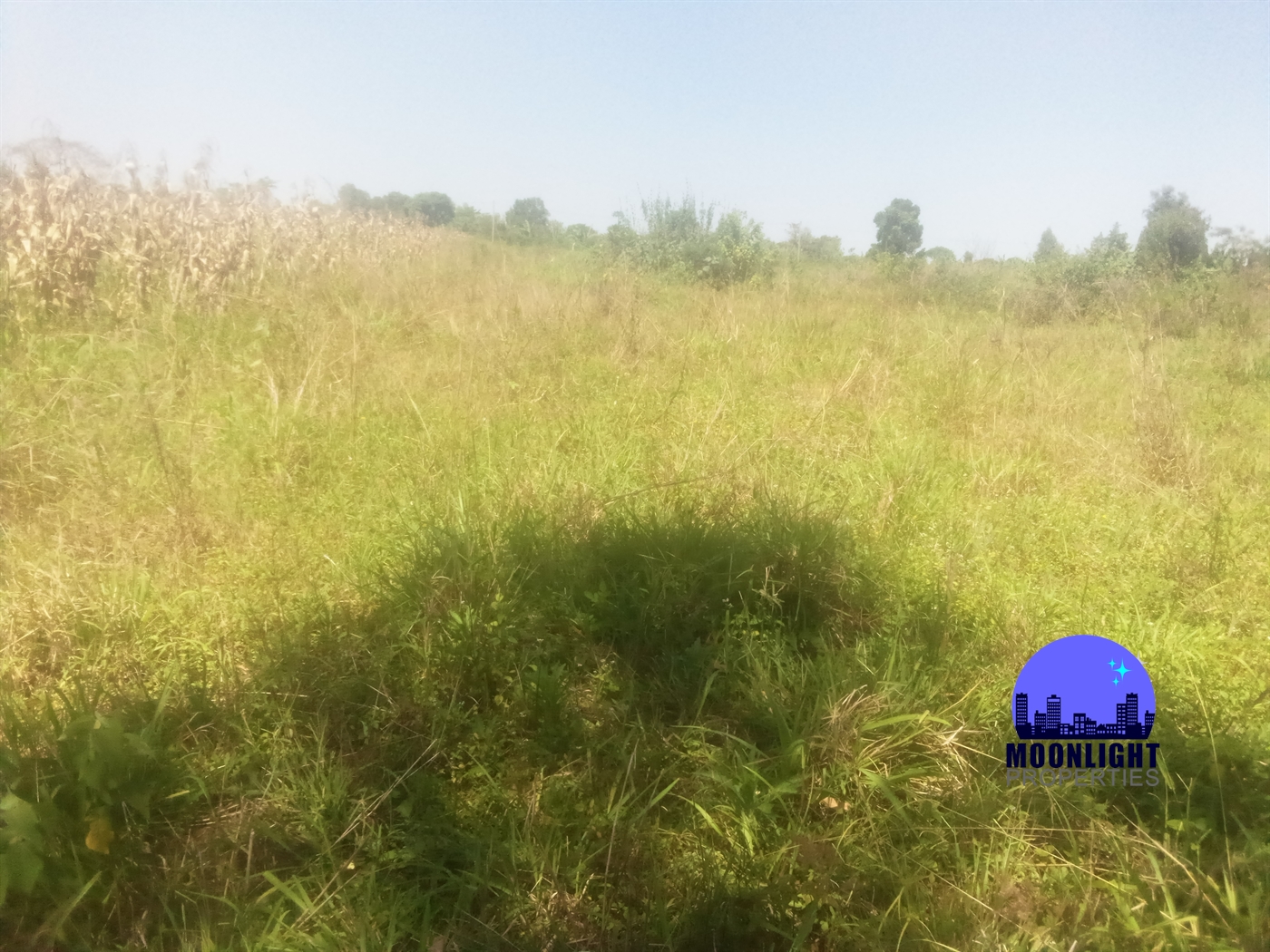 Residential Land for sale in Kiwumu Mukono