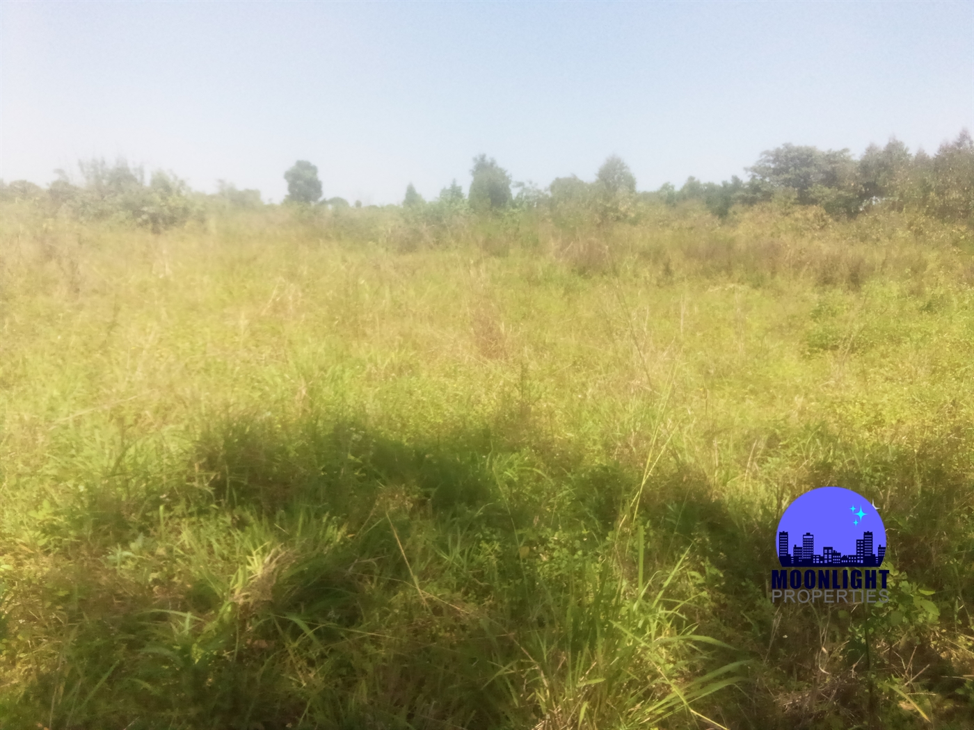 Residential Land for sale in Kiwumu Mukono