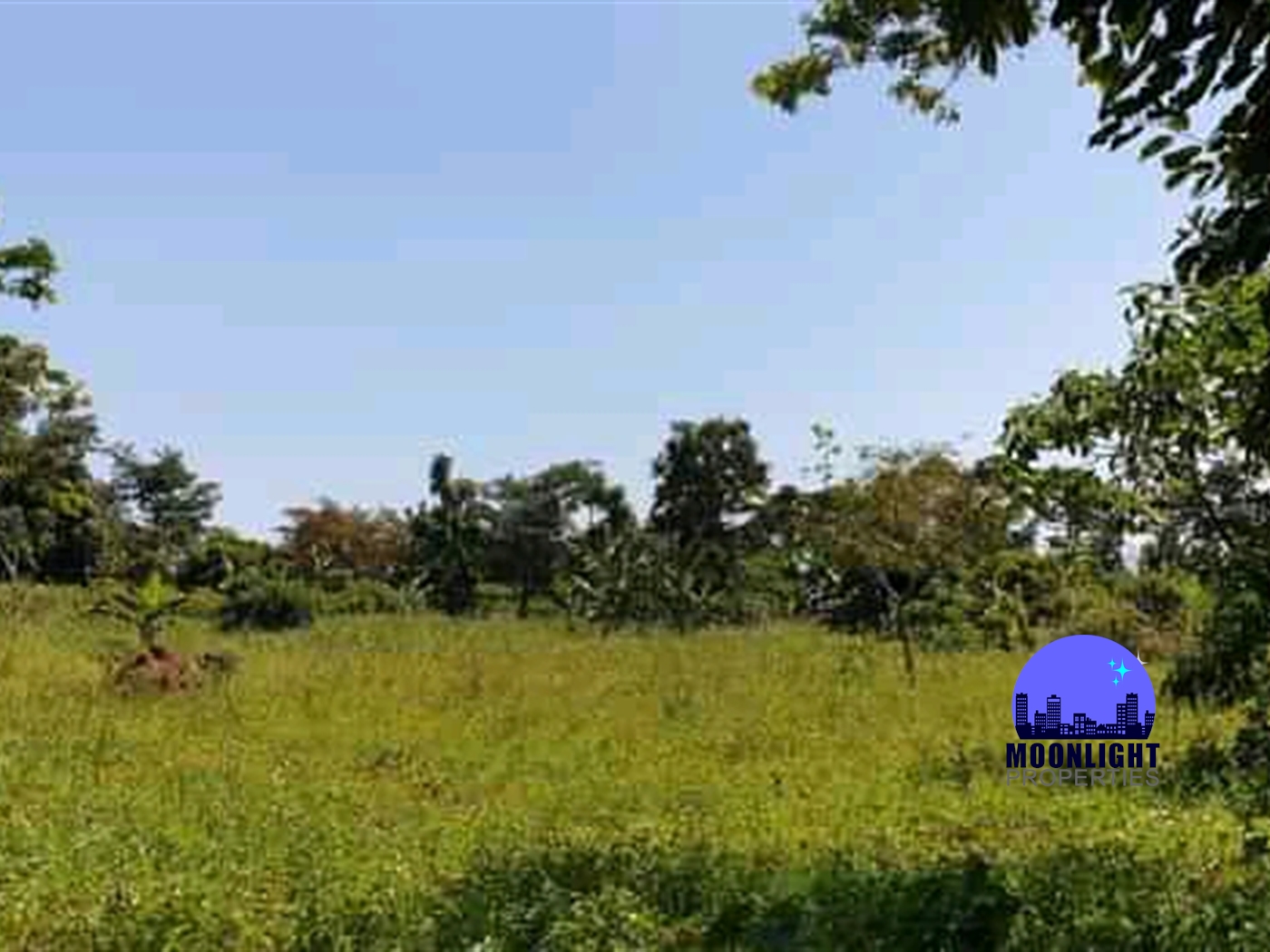 Residential Land for sale in Busiika Mukono