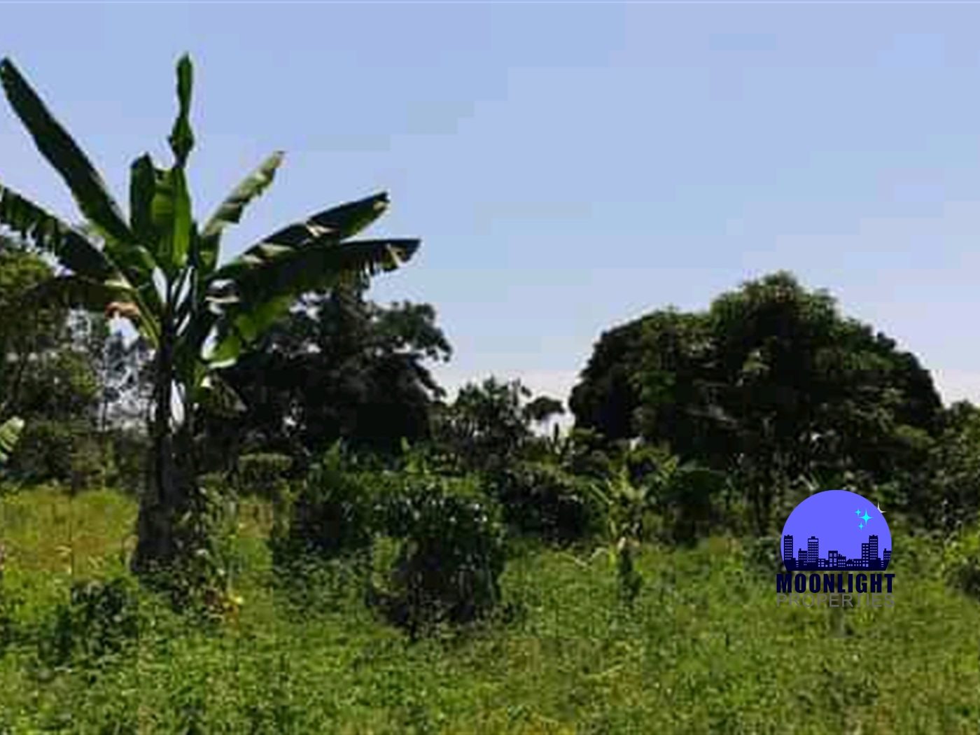 Residential Land for sale in Busiika Mukono