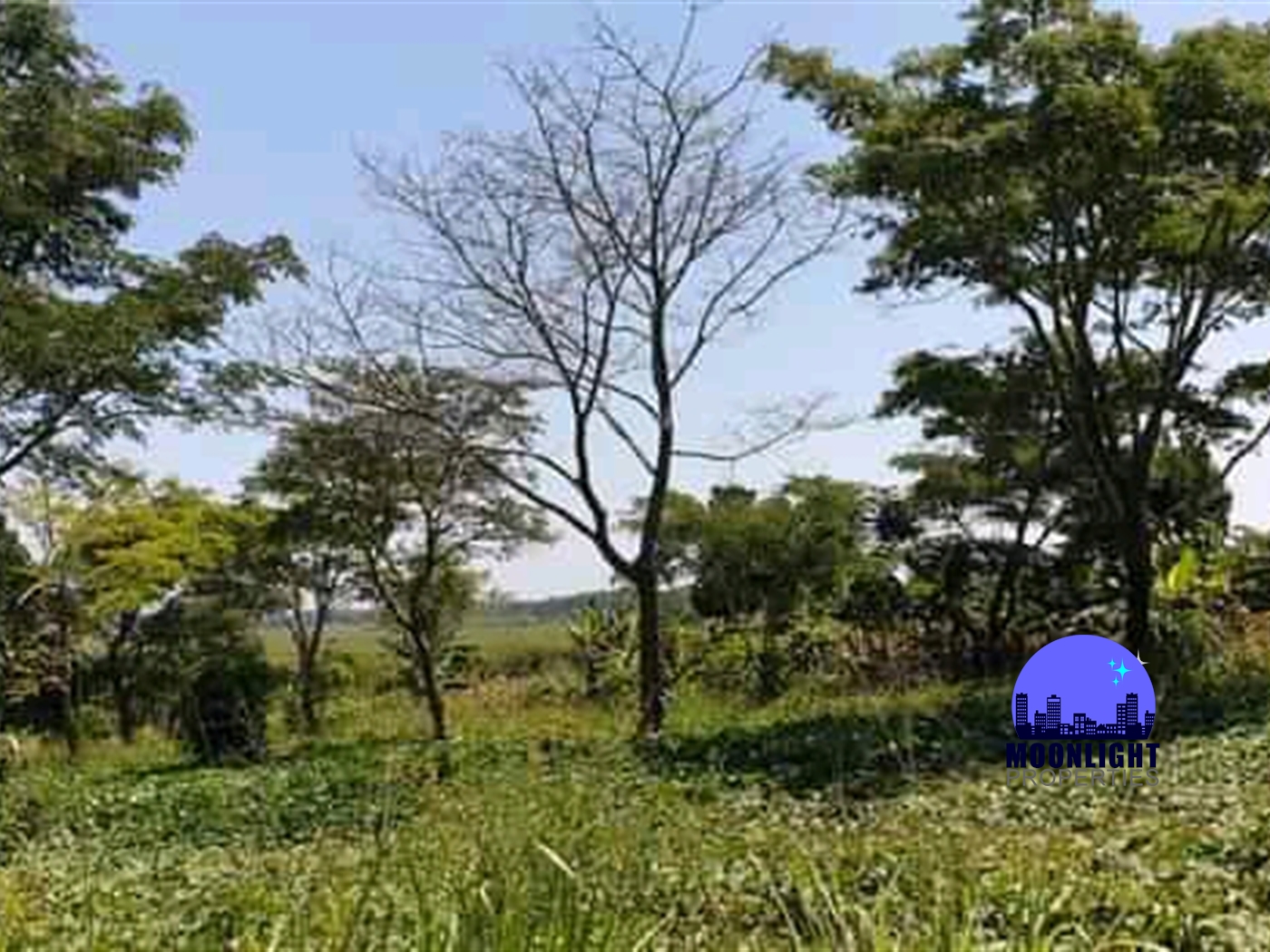 Residential Land for sale in Busiika Mukono