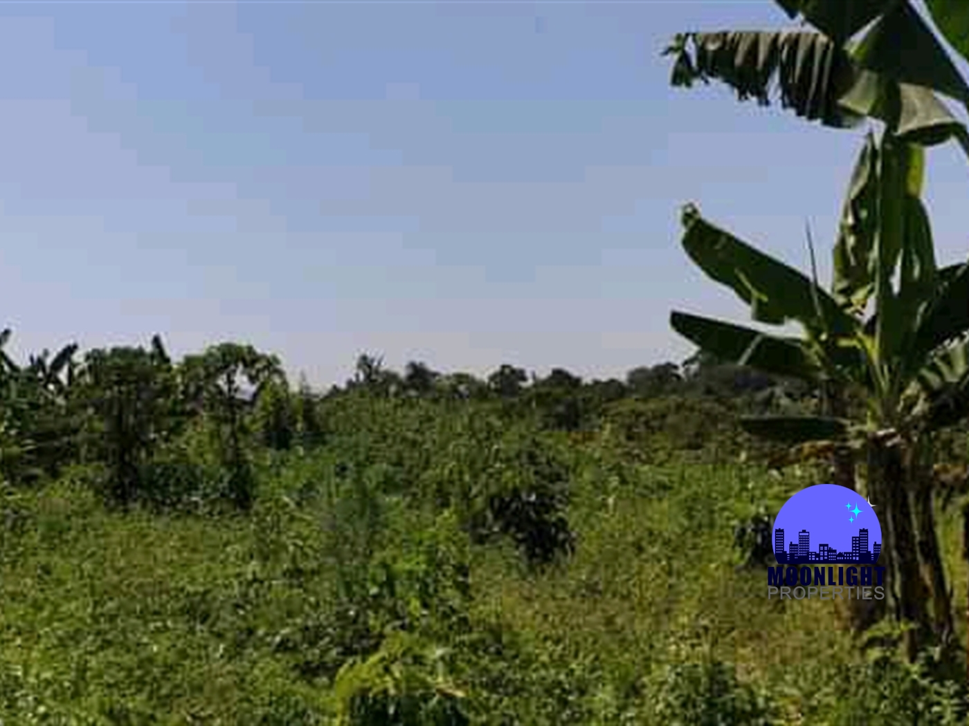 Residential Land for sale in Busiika Mukono