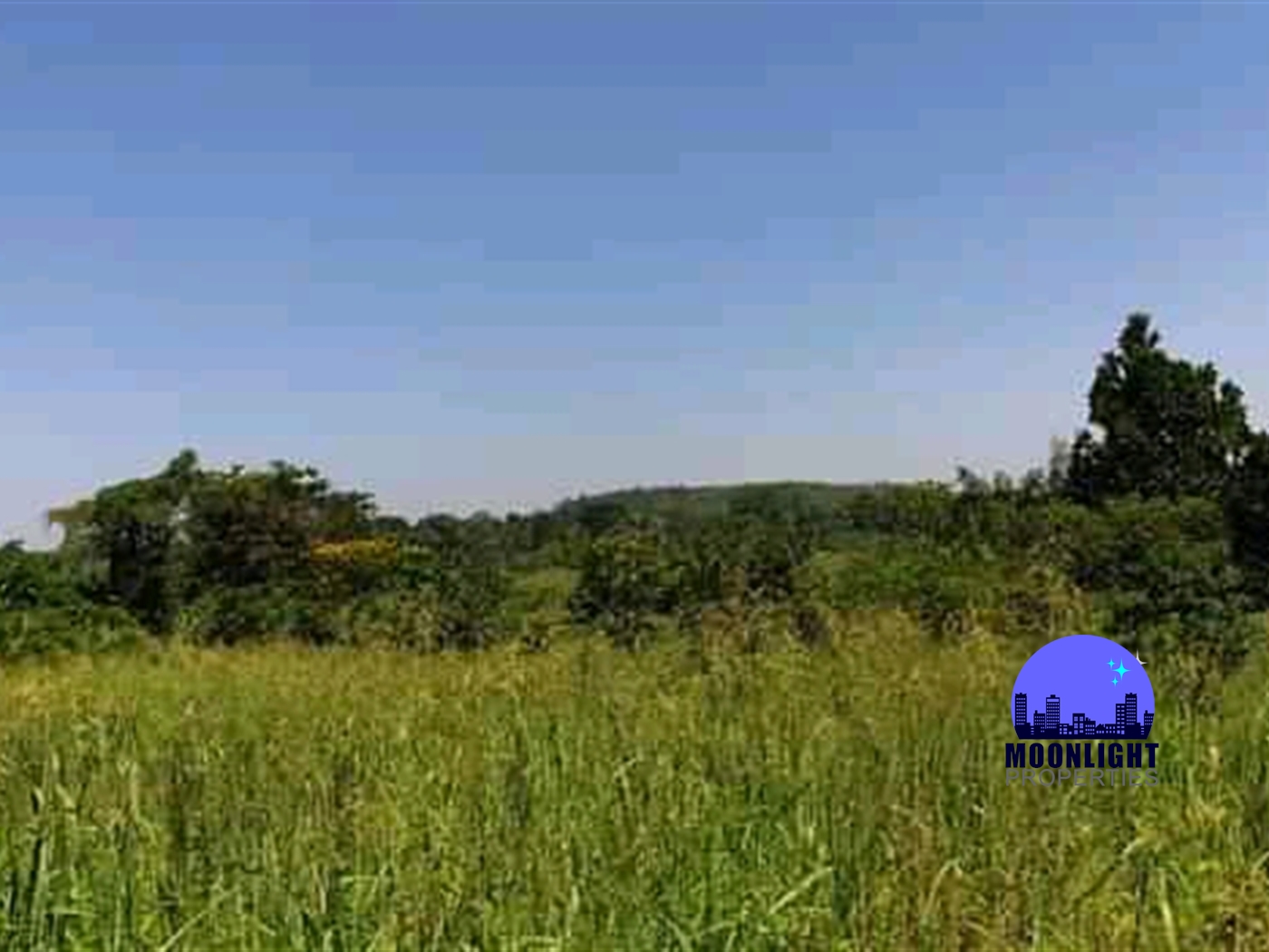 Residential Land for sale in Busiika Mukono