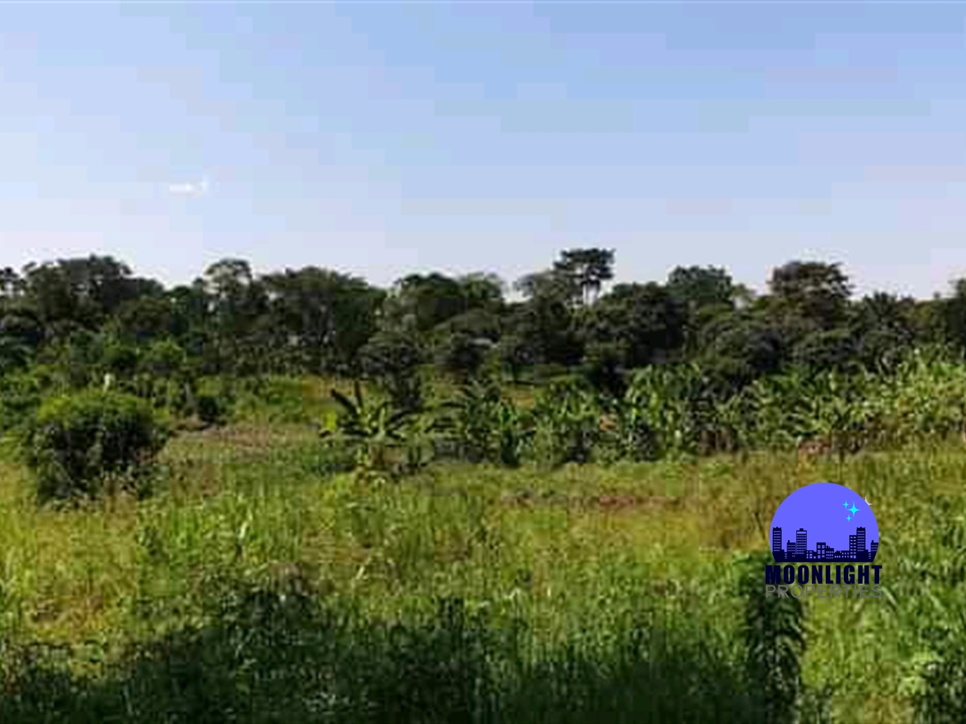 Residential Land for sale in Busiika Mukono