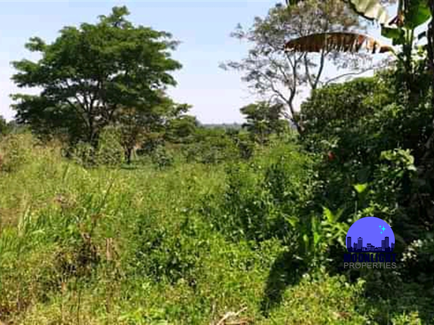 Residential Land for sale in Busiika Mukono