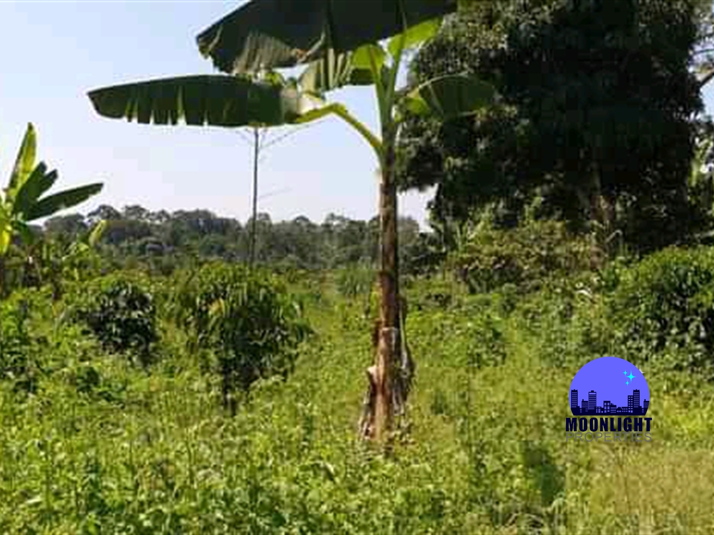 Residential Land for sale in Busiika Mukono