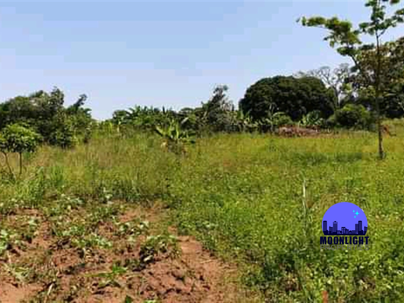 Residential Land for sale in Busiika Mukono