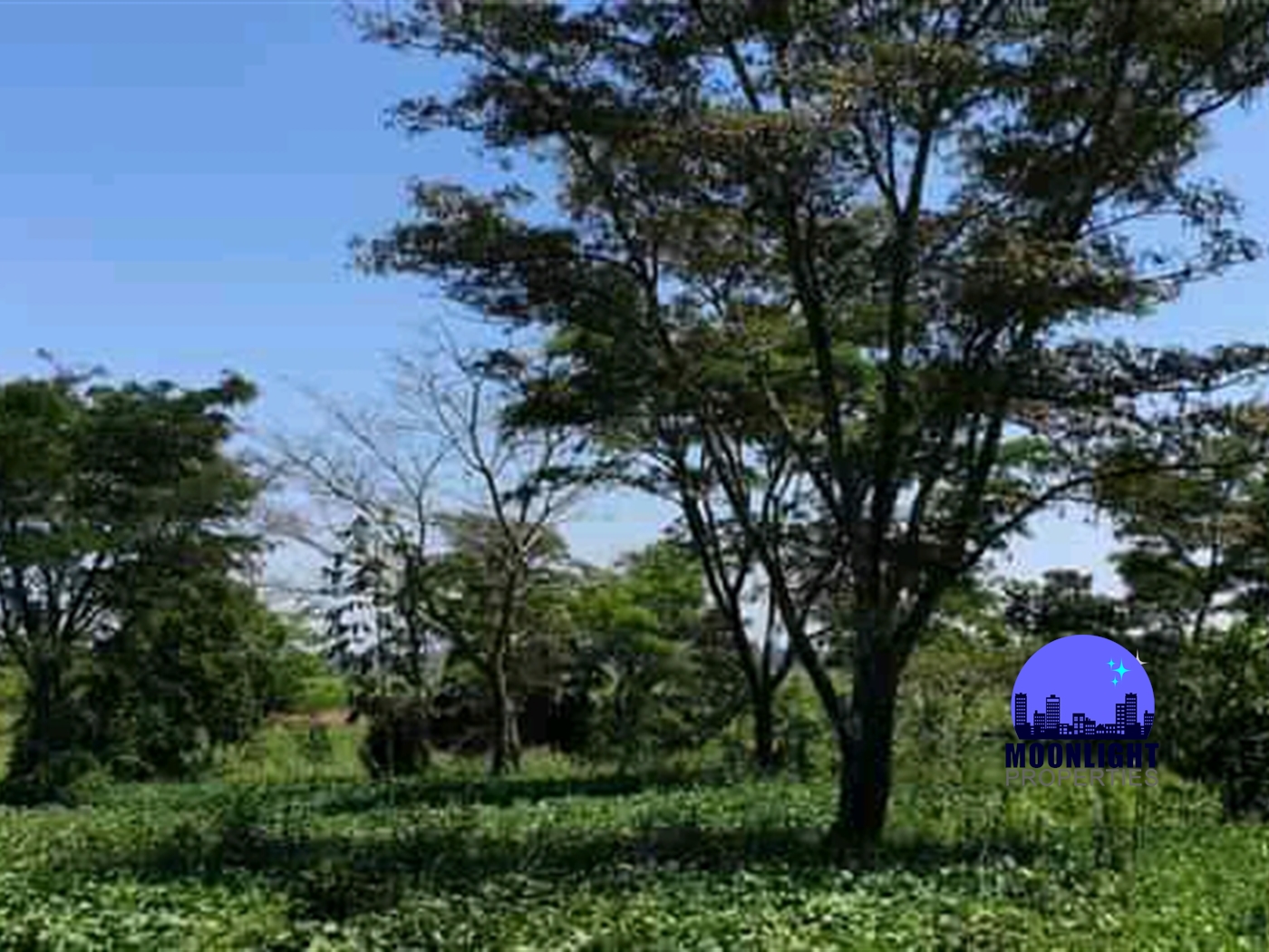 Residential Land for sale in Busiika Mukono