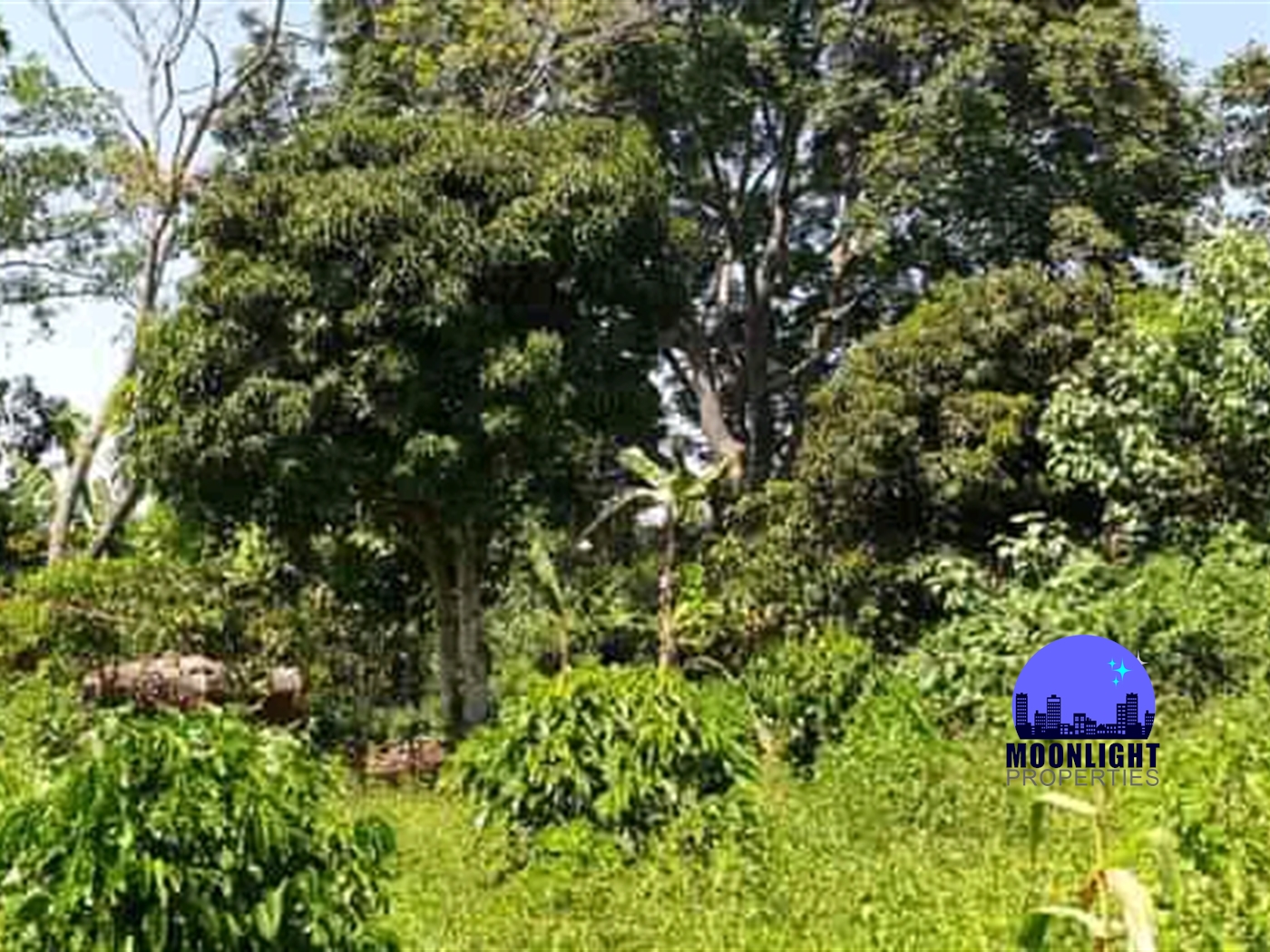 Residential Land for sale in Busiika Mukono