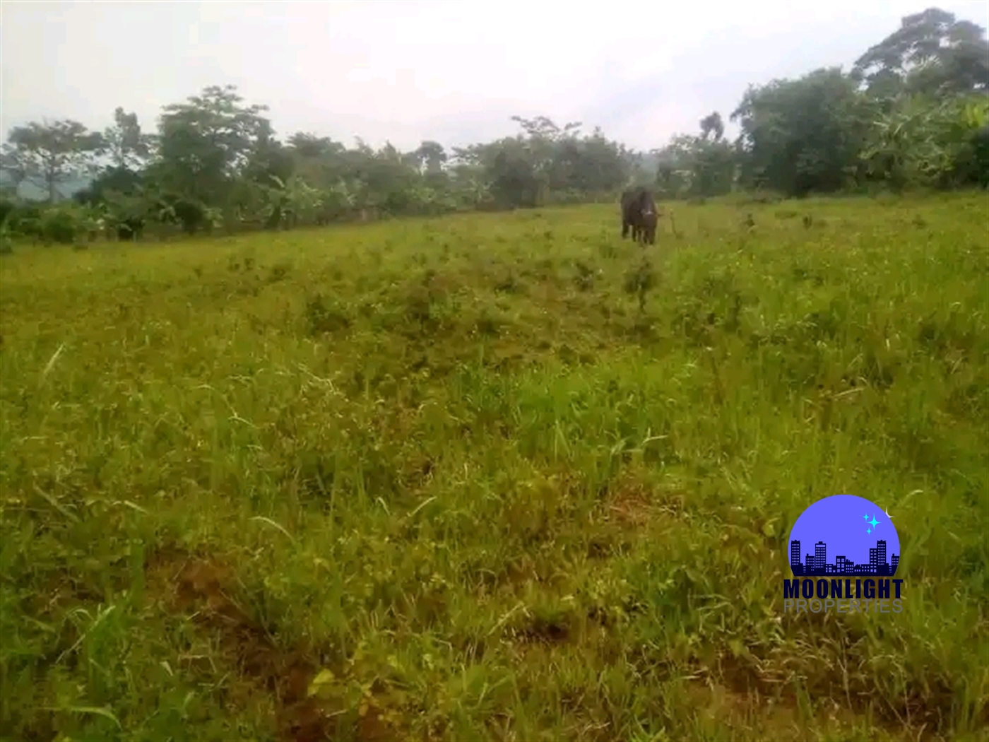 Residential Land for sale in Kisoga Mukono