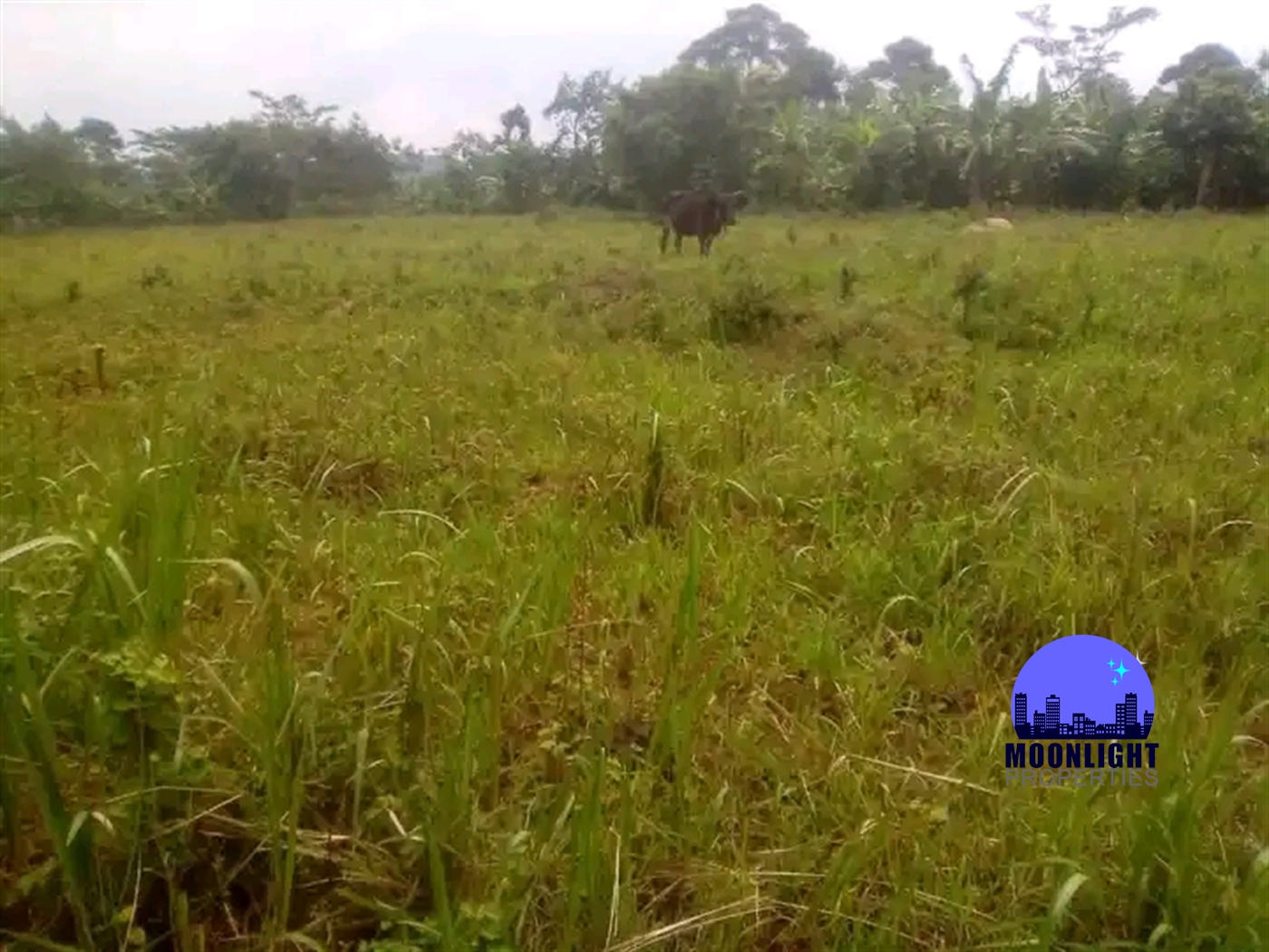 Residential Land for sale in Kisoga Mukono