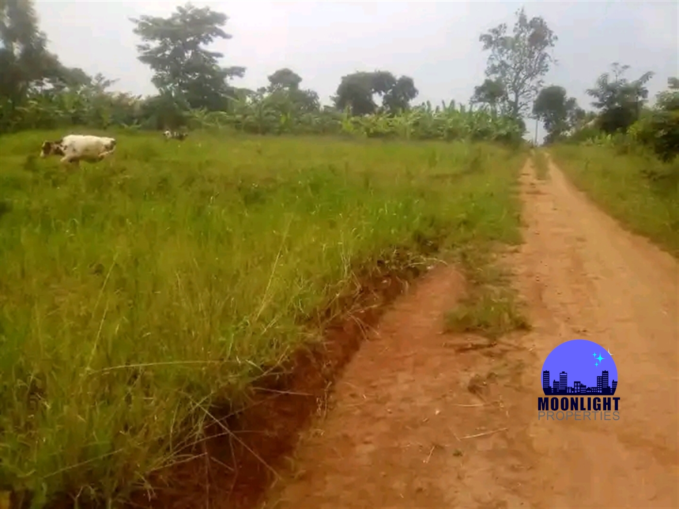 Residential Land for sale in Kisoga Mukono