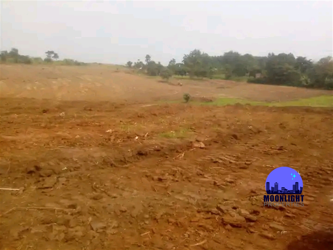 Residential Land for sale in Kaseenene Mukono