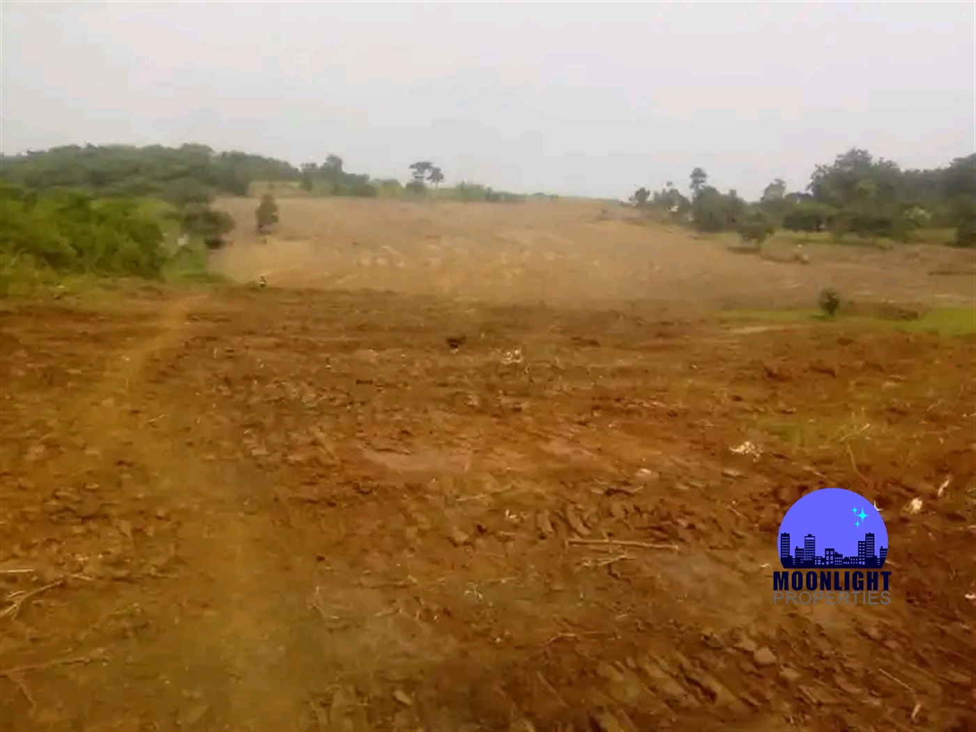 Residential Land for sale in Kaseenene Mukono