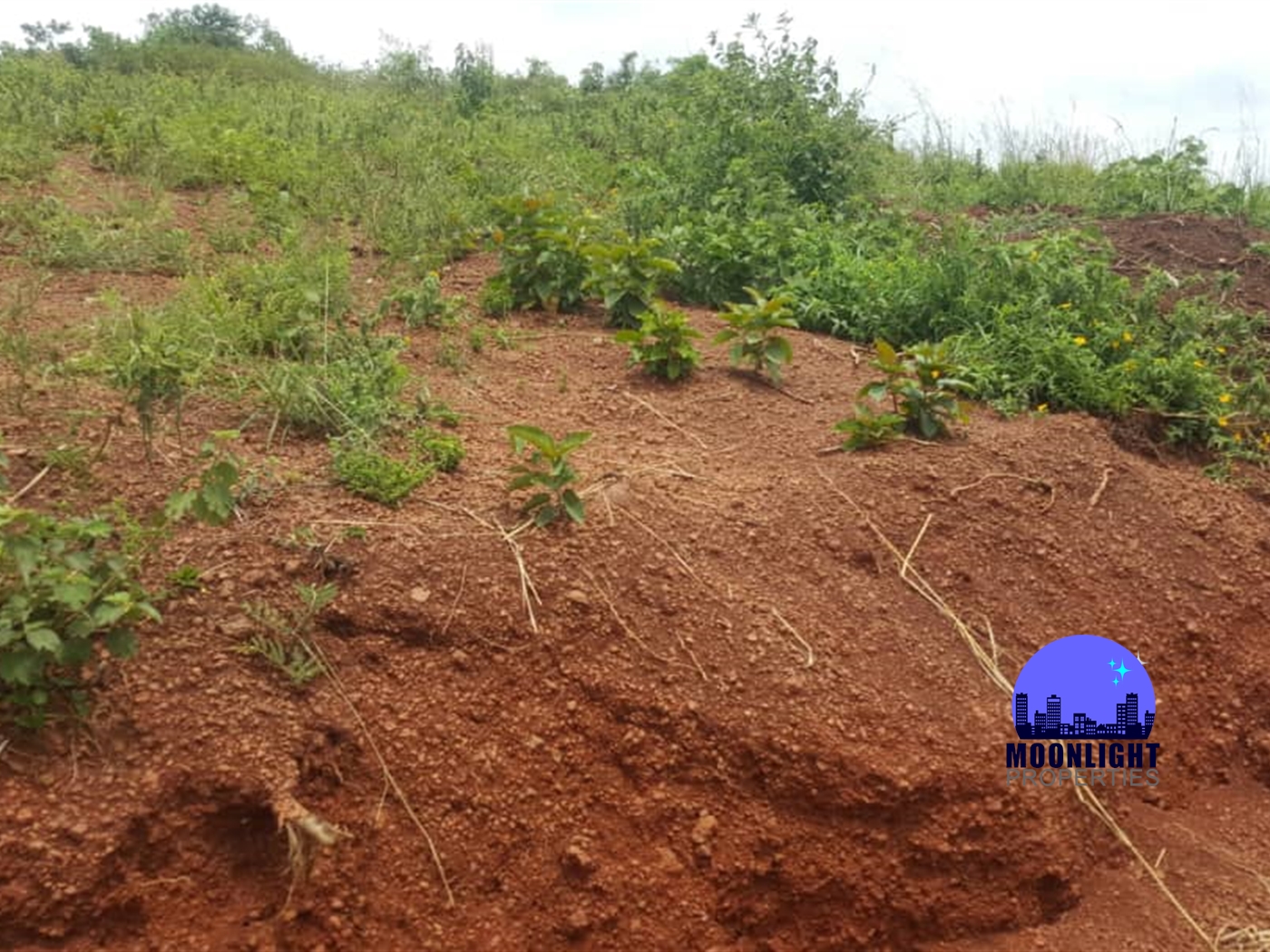 Residential Land for sale in Kisoga Mukono