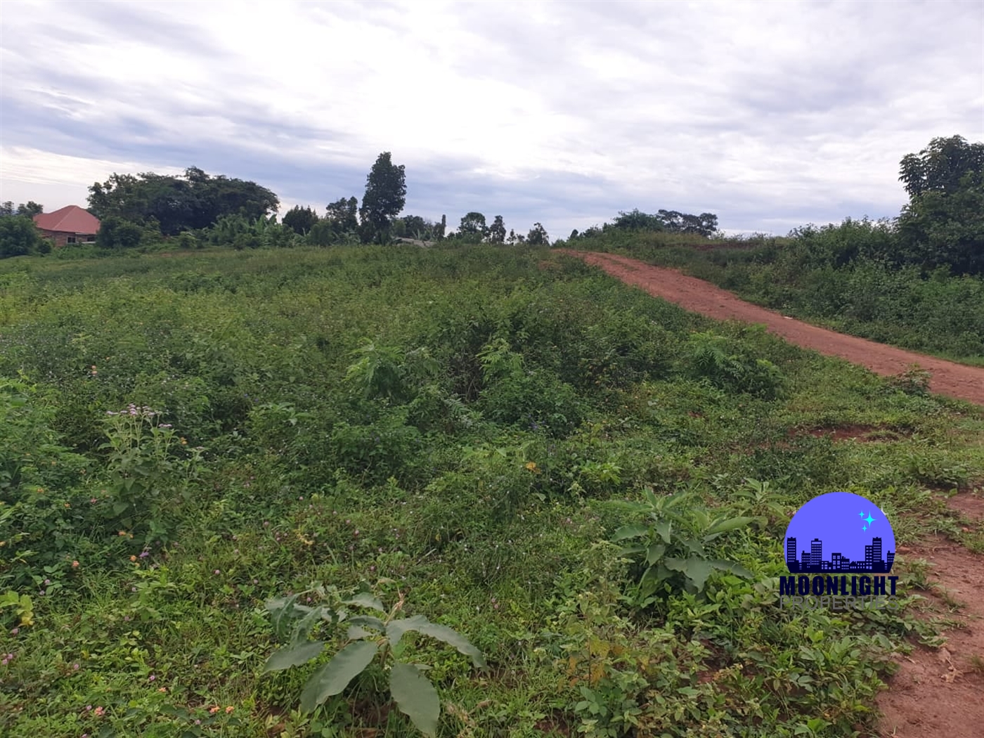 Residential Land for sale in Busukuma Wakiso