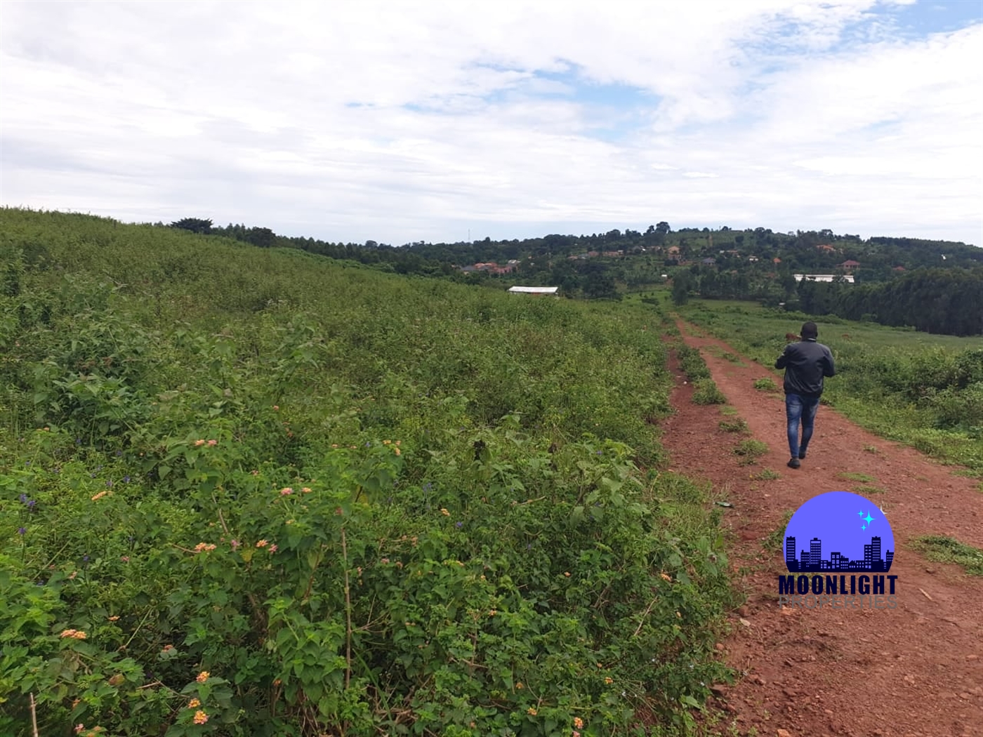 Residential Land for sale in Busukuma Wakiso