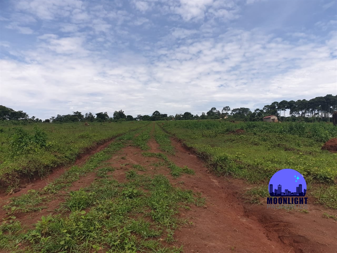 Residential Land for sale in Nakassajja Mukono