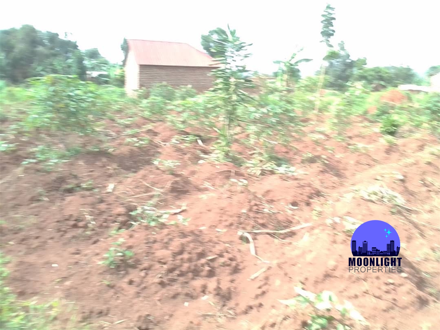 Residential Land for sale in Buddugala Mukono