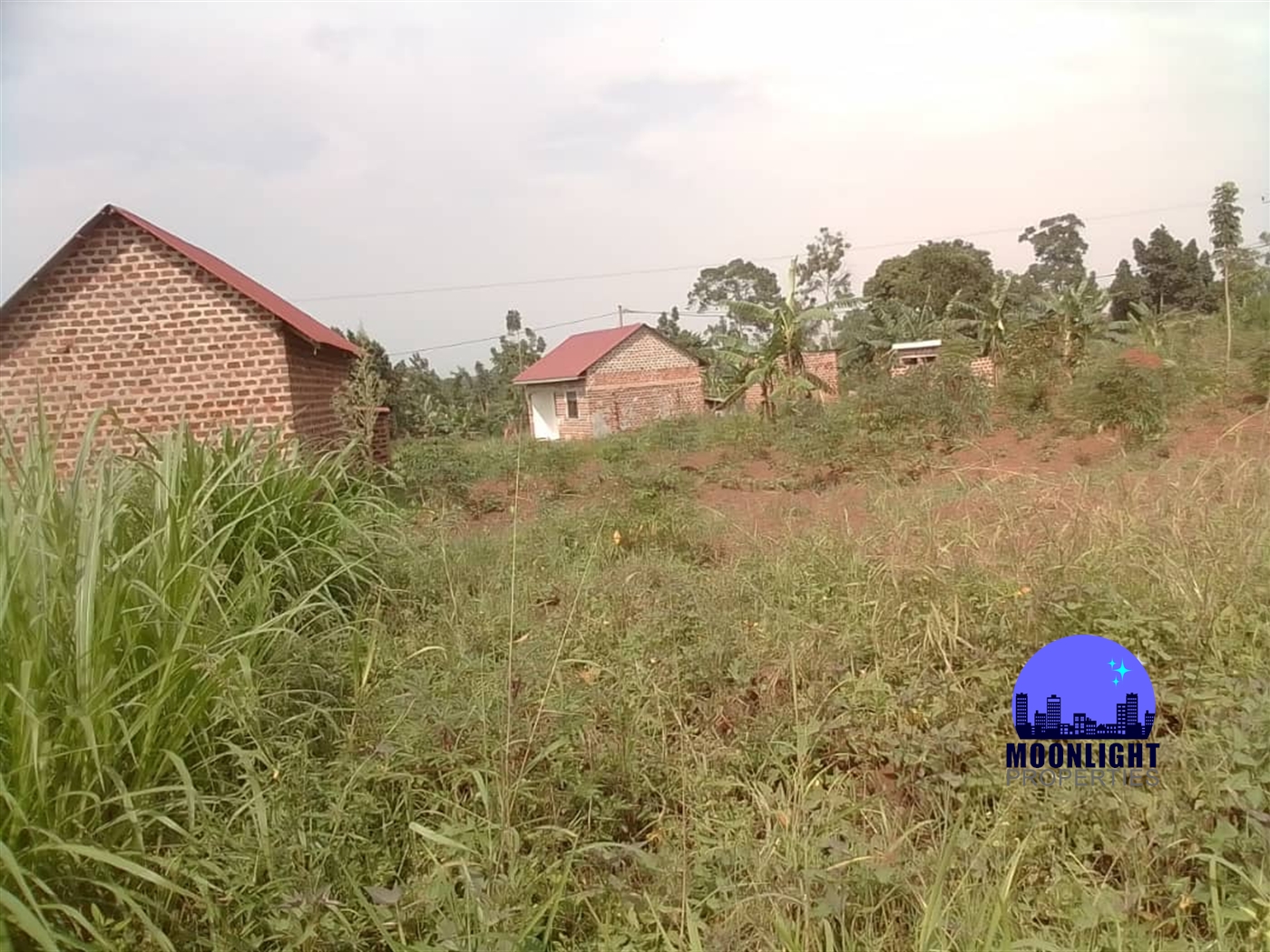 Residential Land for sale in Buddugala Mukono