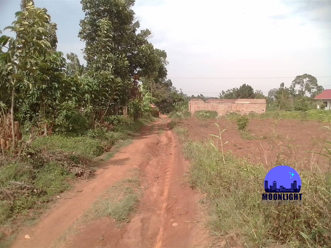 Residential Land for sale in Buddugala Mukono