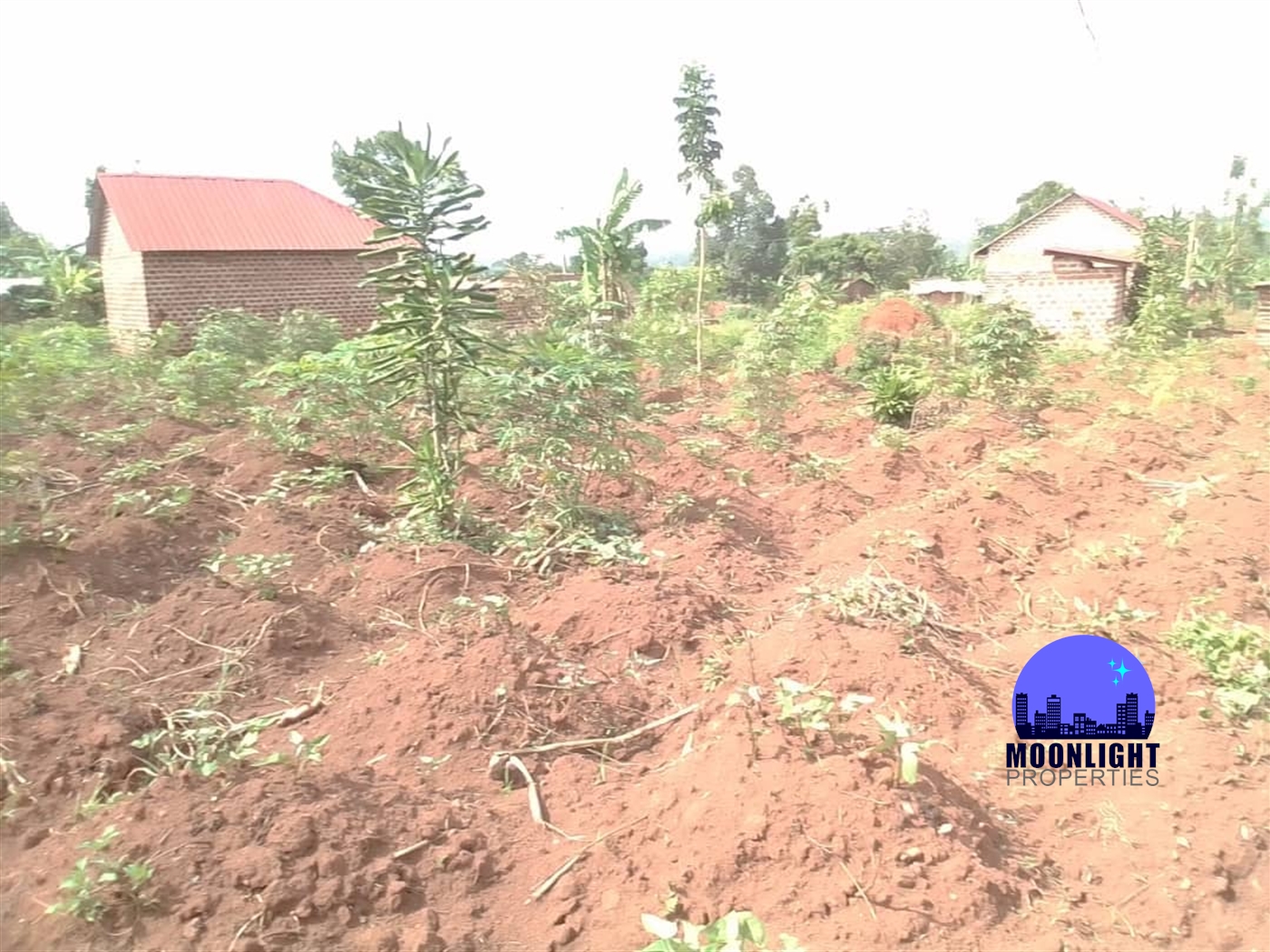 Residential Land for sale in Buddugala Mukono