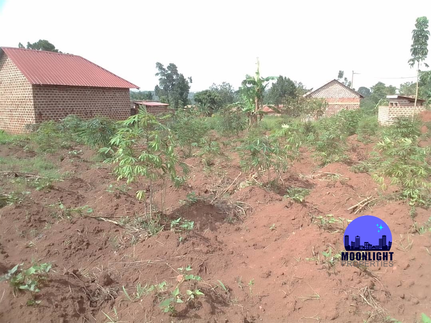 Residential Land for sale in Buddugala Mukono