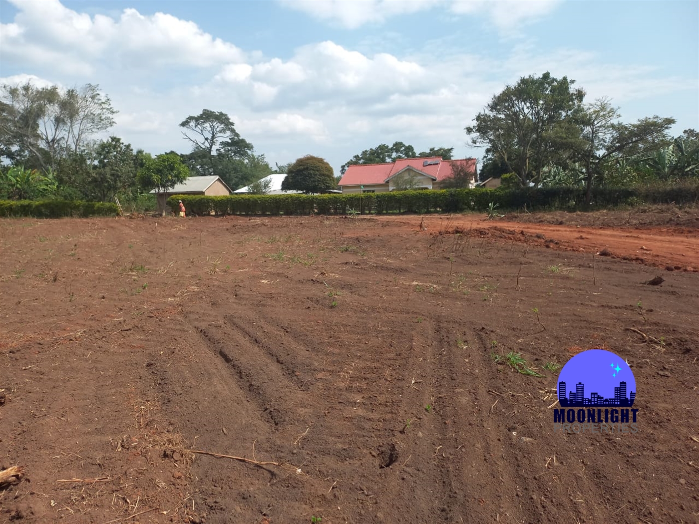 Residential Land for sale in Namulonge Wakiso