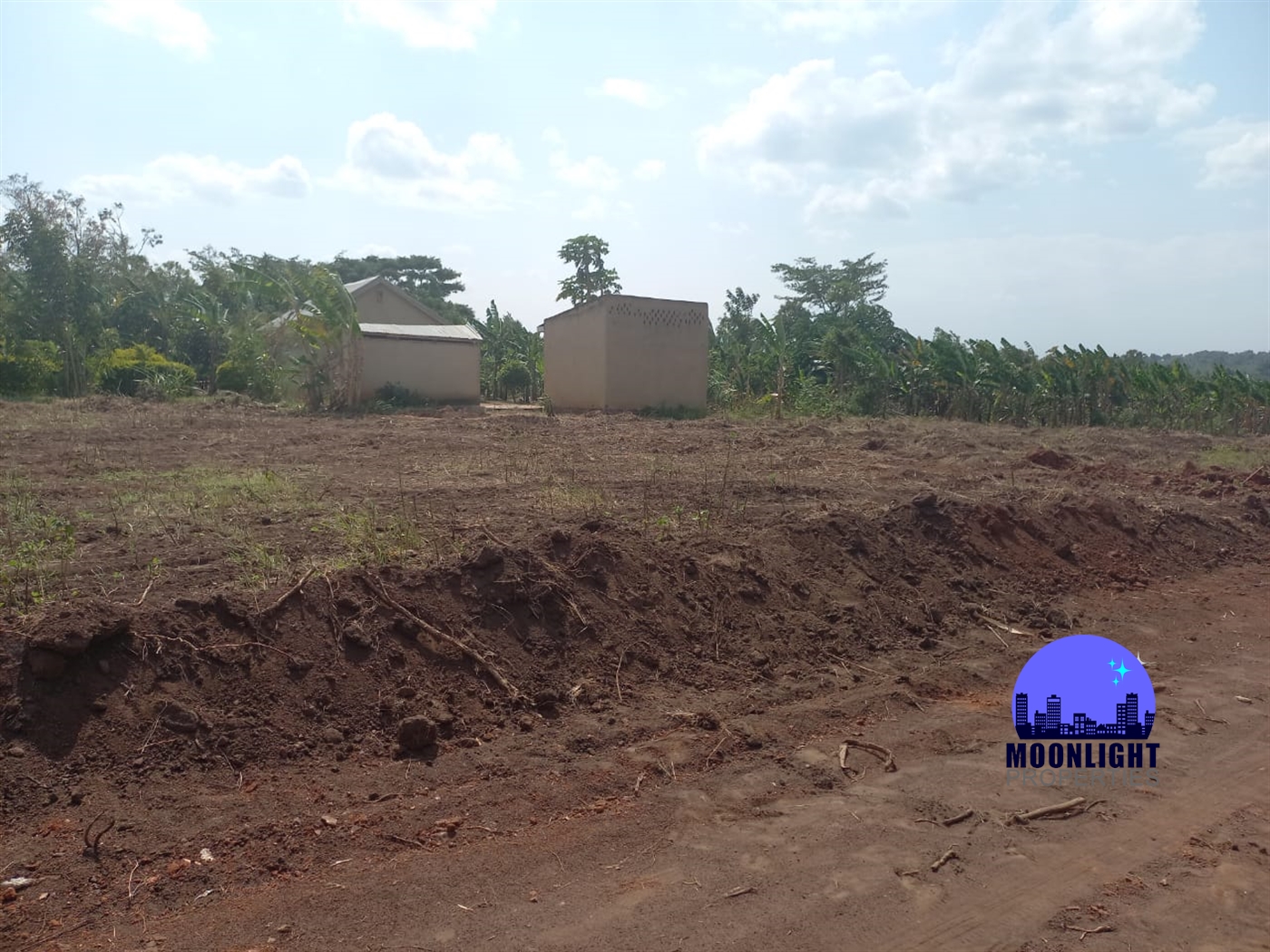 Residential Land for sale in Namulonge Wakiso