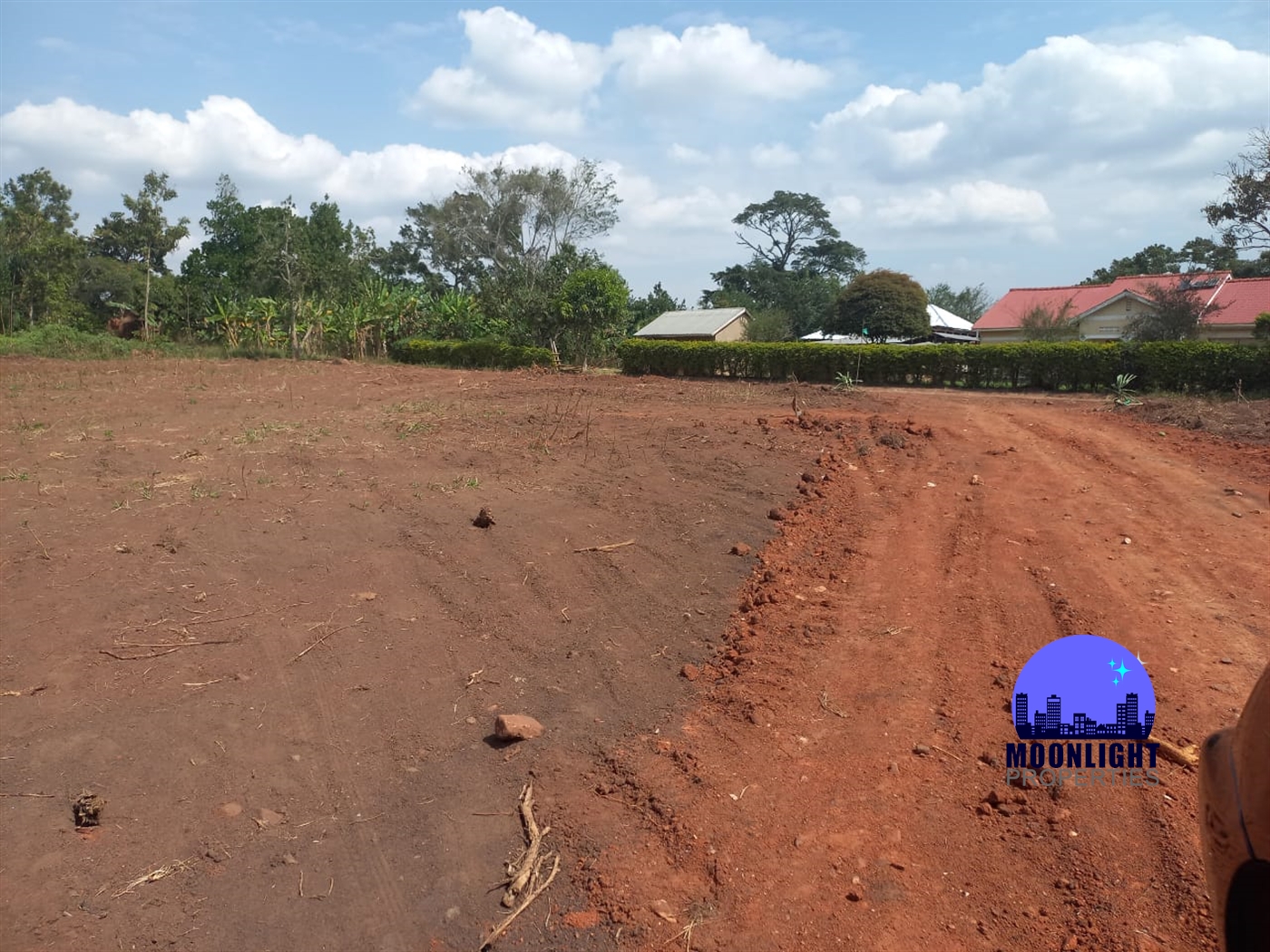 Residential Land for sale in Namulonge Wakiso