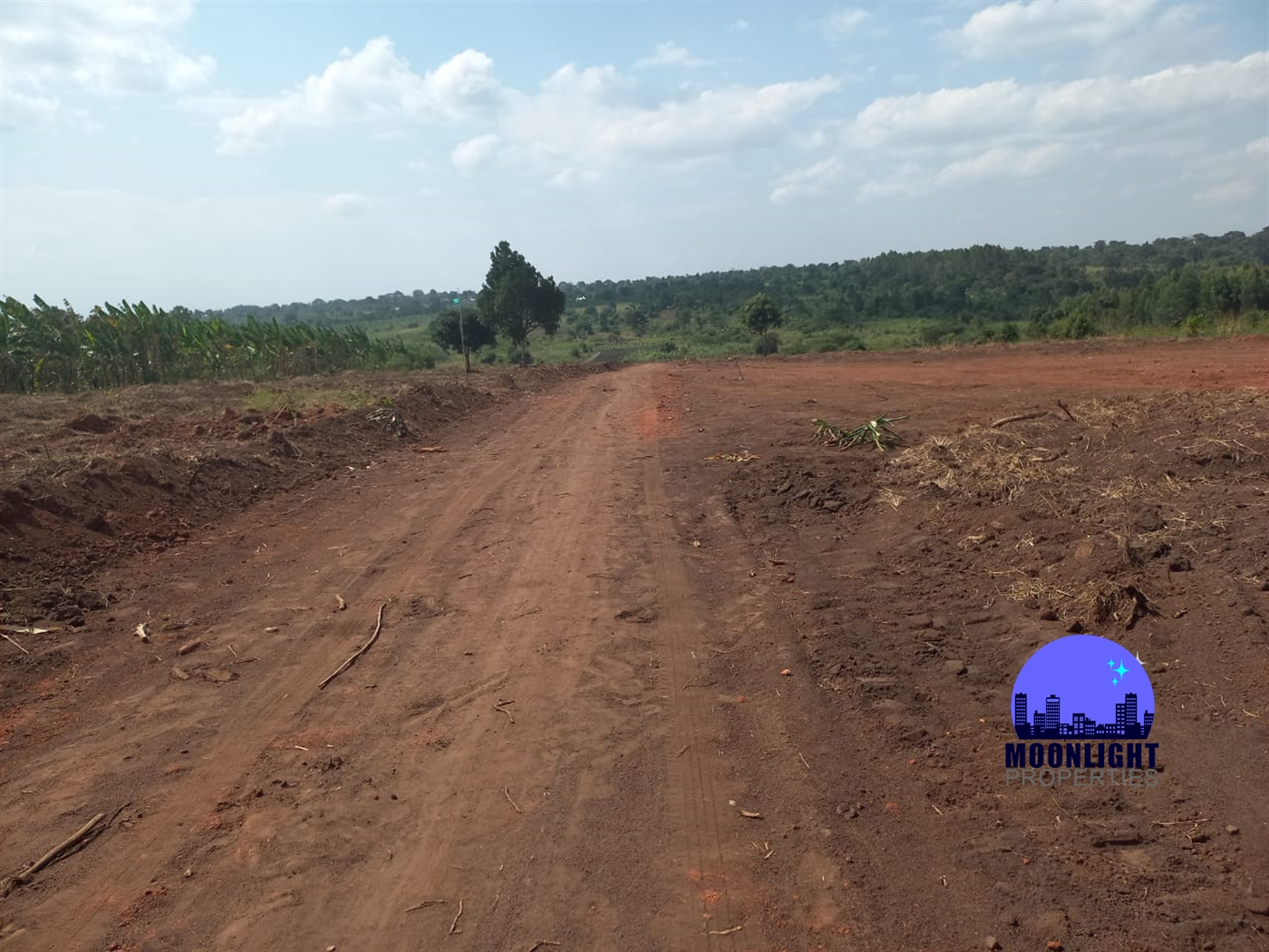 Residential Land for sale in Namulonge Wakiso