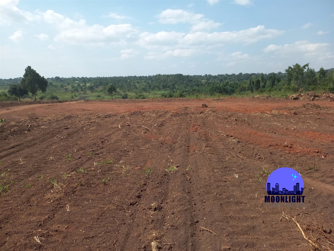 Residential Land for sale in Namulonge Wakiso