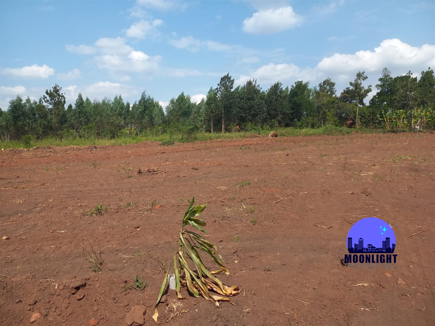 Residential Land for sale in Namulonge Wakiso