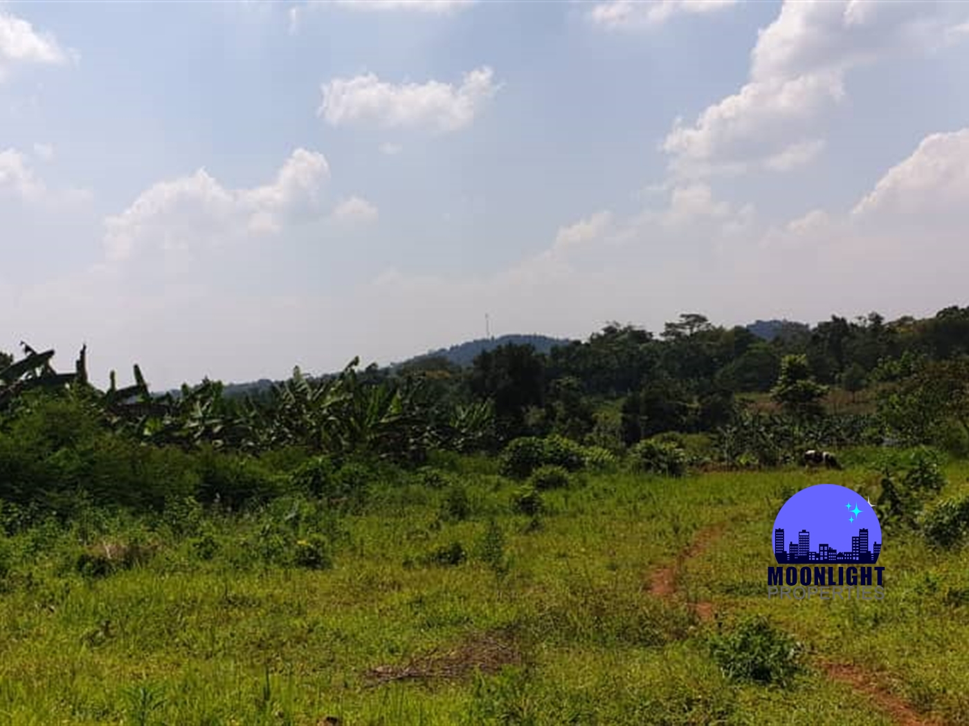 Residential Land for sale in Kiwenda Wakiso