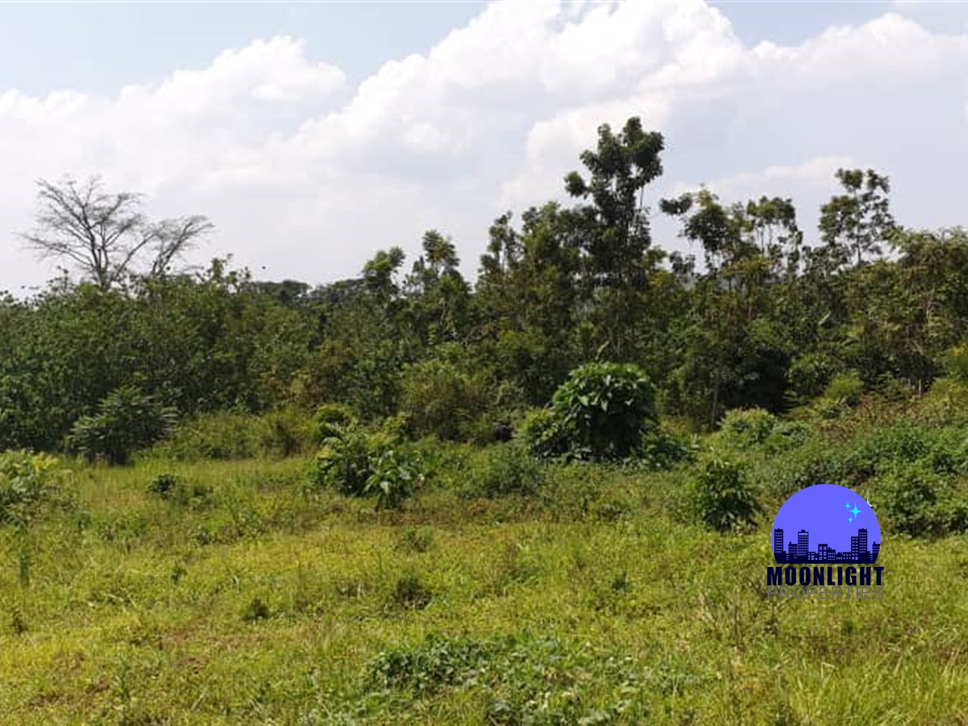 Residential Land for sale in Kiwenda Wakiso