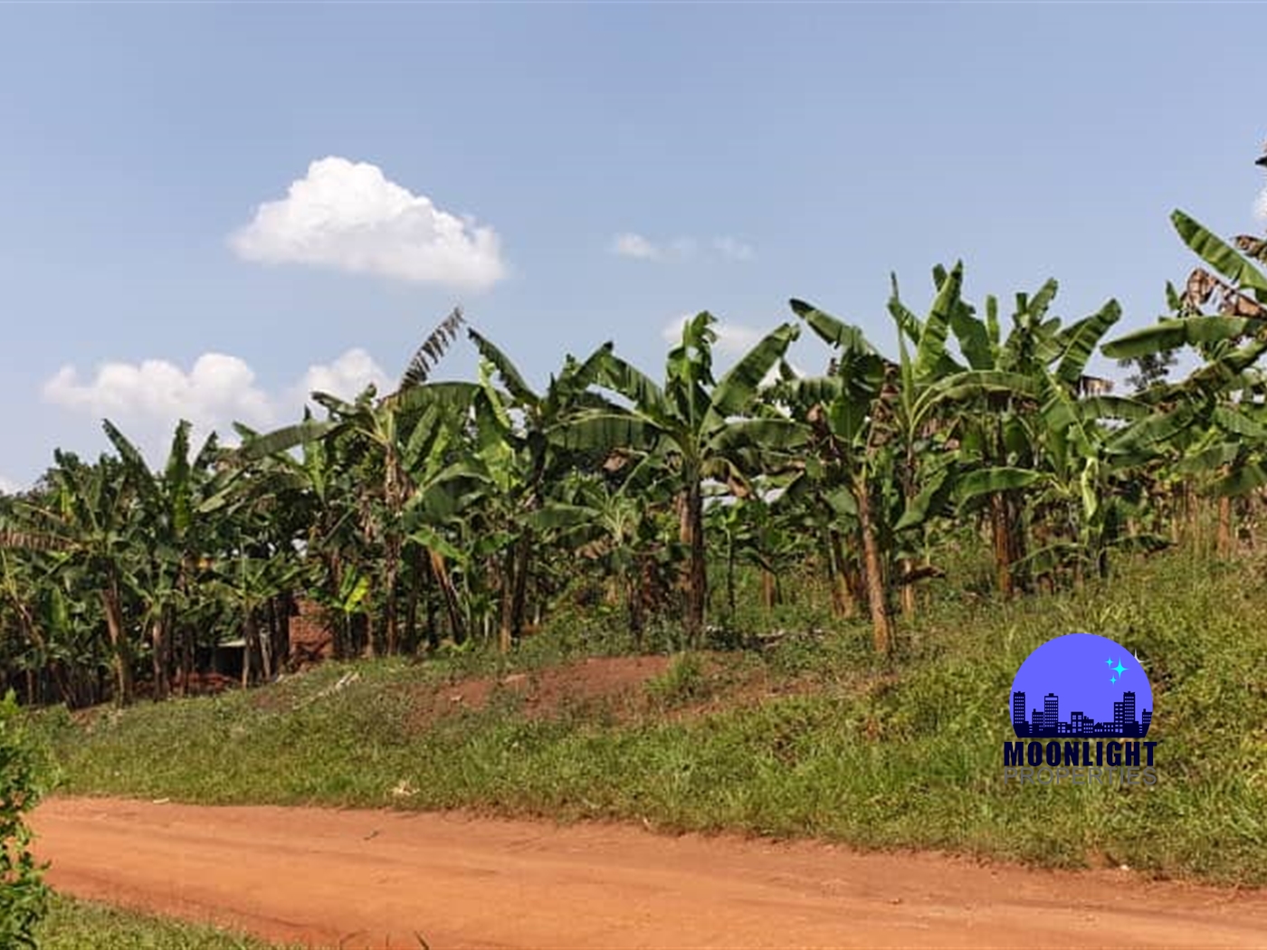 Residential Land for sale in Kiwenda Wakiso