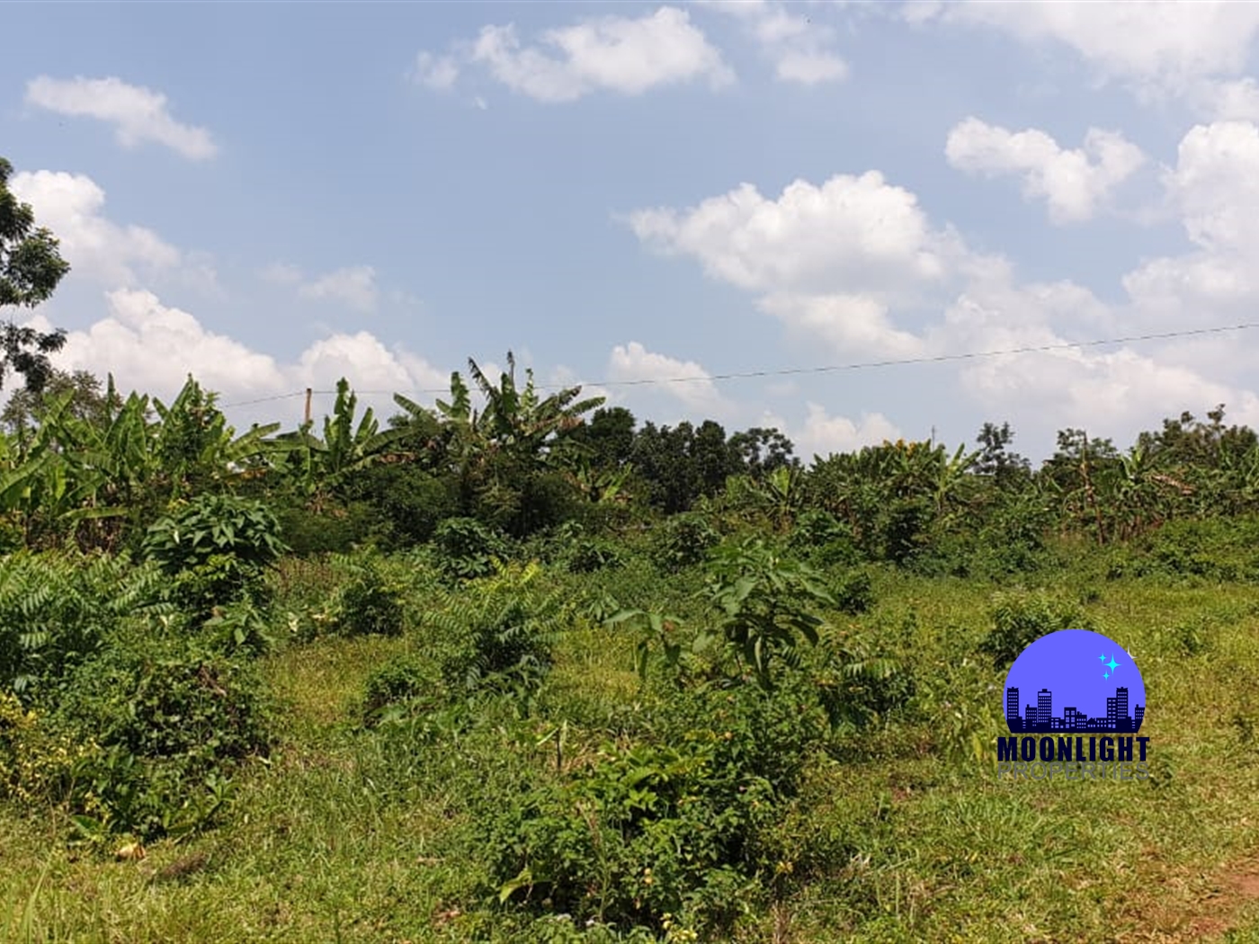 Residential Land for sale in Kiwenda Wakiso