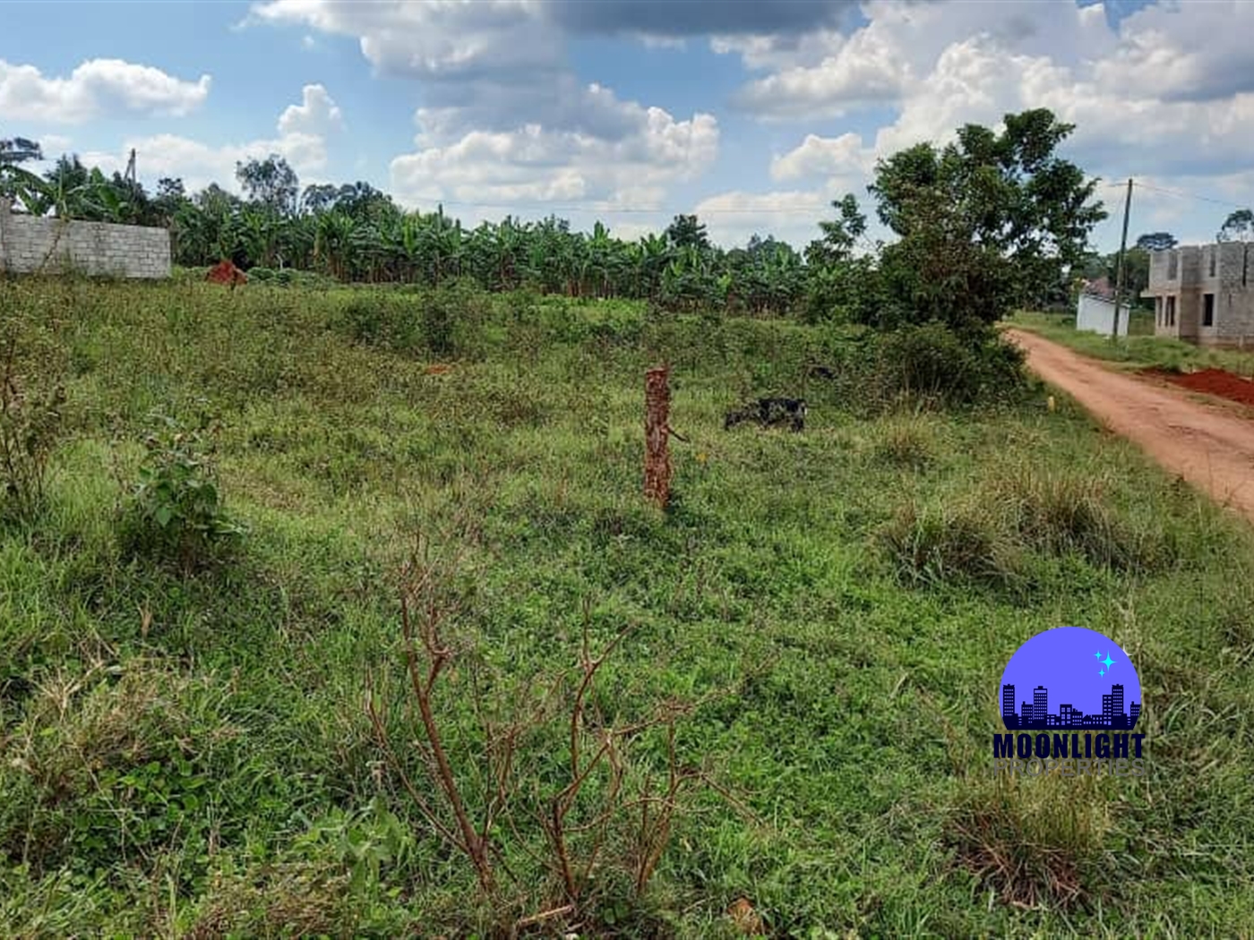 Residential Land for sale in Nakweelo Wakiso